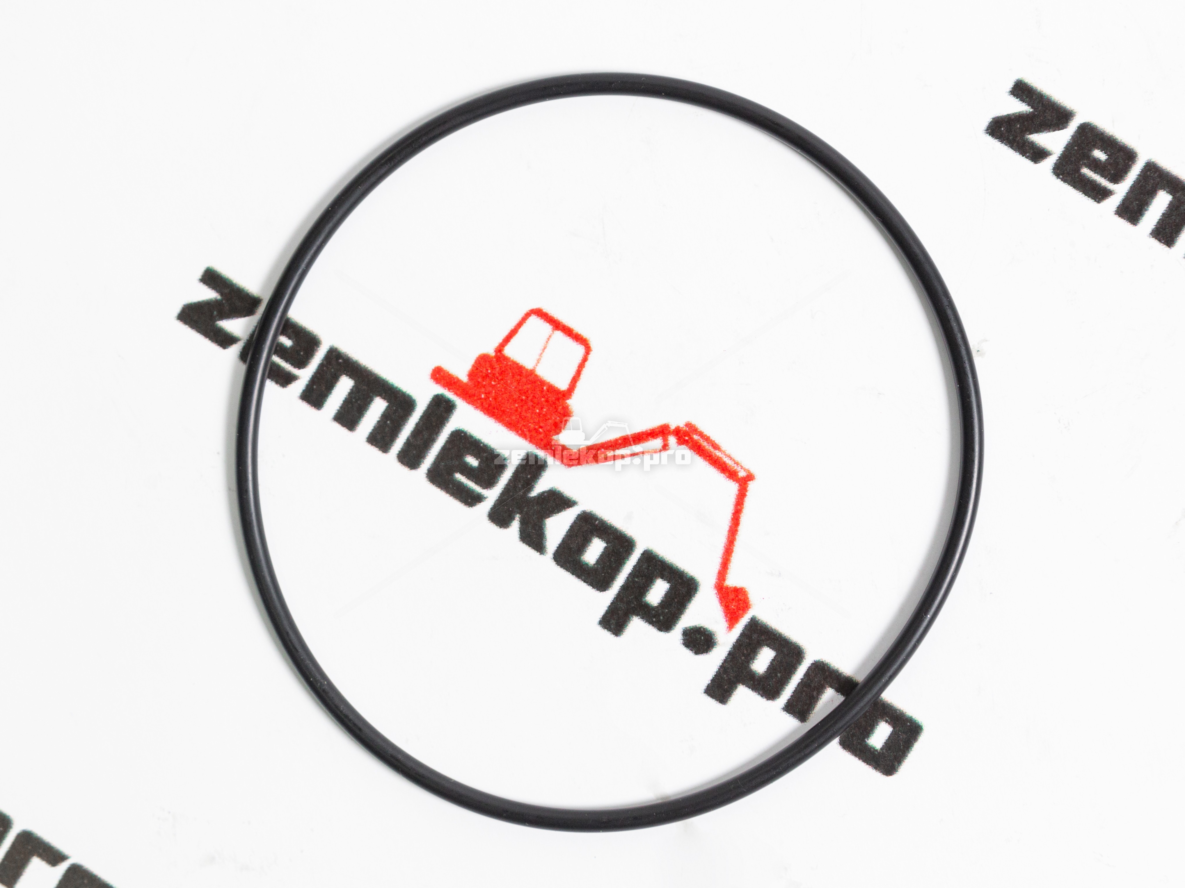 001.05.0819 О-кольцо DANA