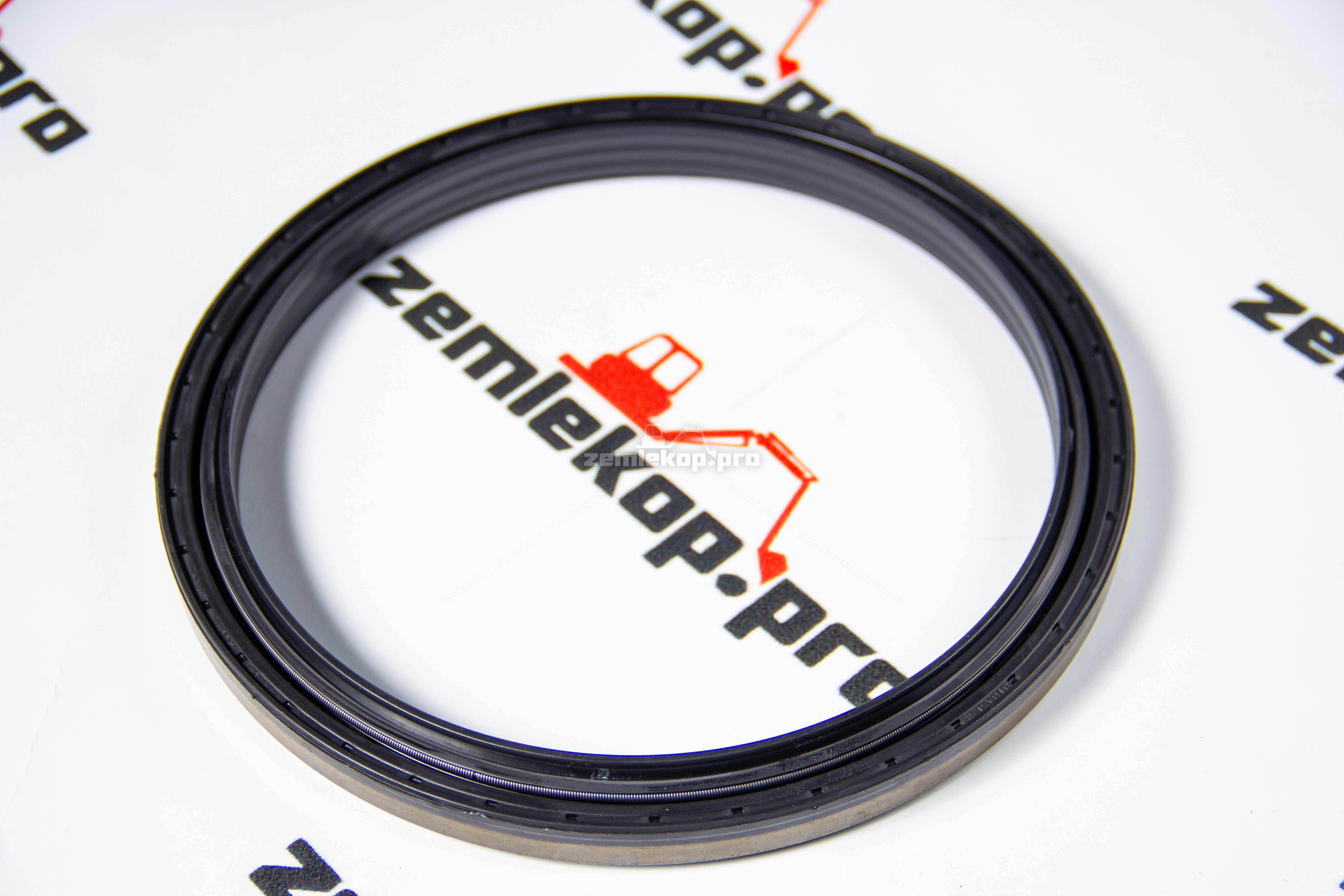 138.06.020.01 Сальник DANA