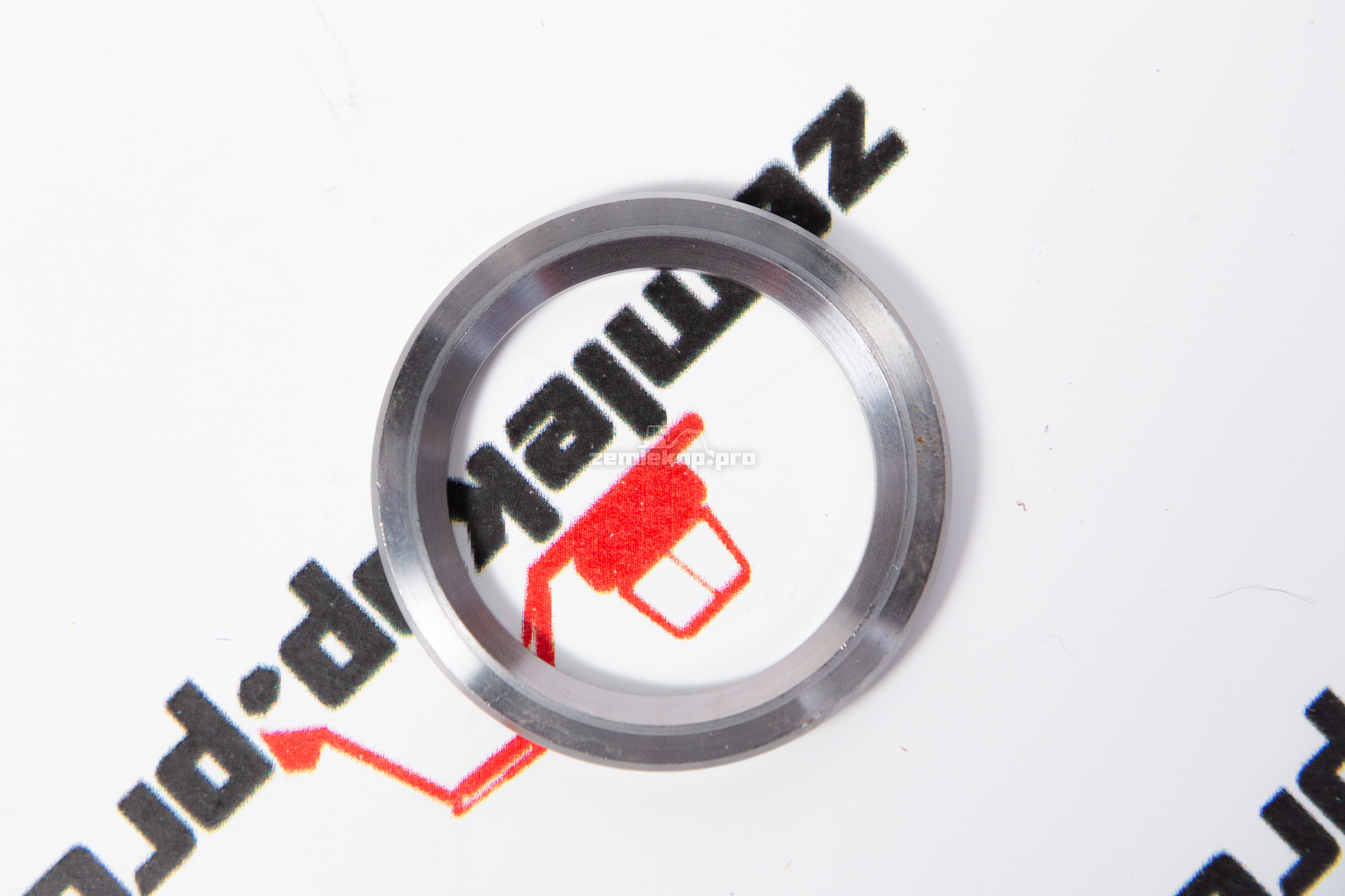 113.06.019.01 Кольцо DANA