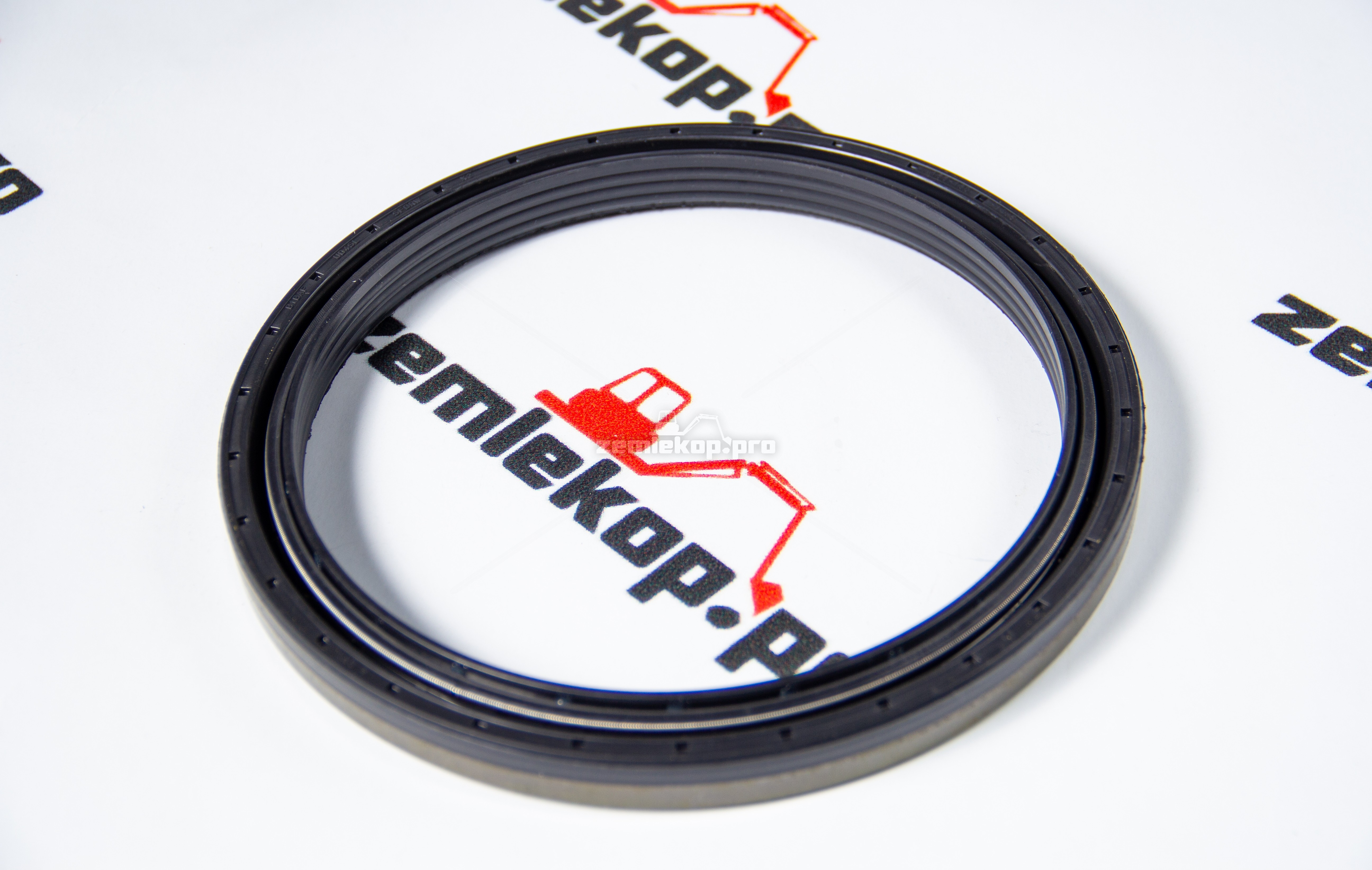 738.06.069.01 Сальник DANA