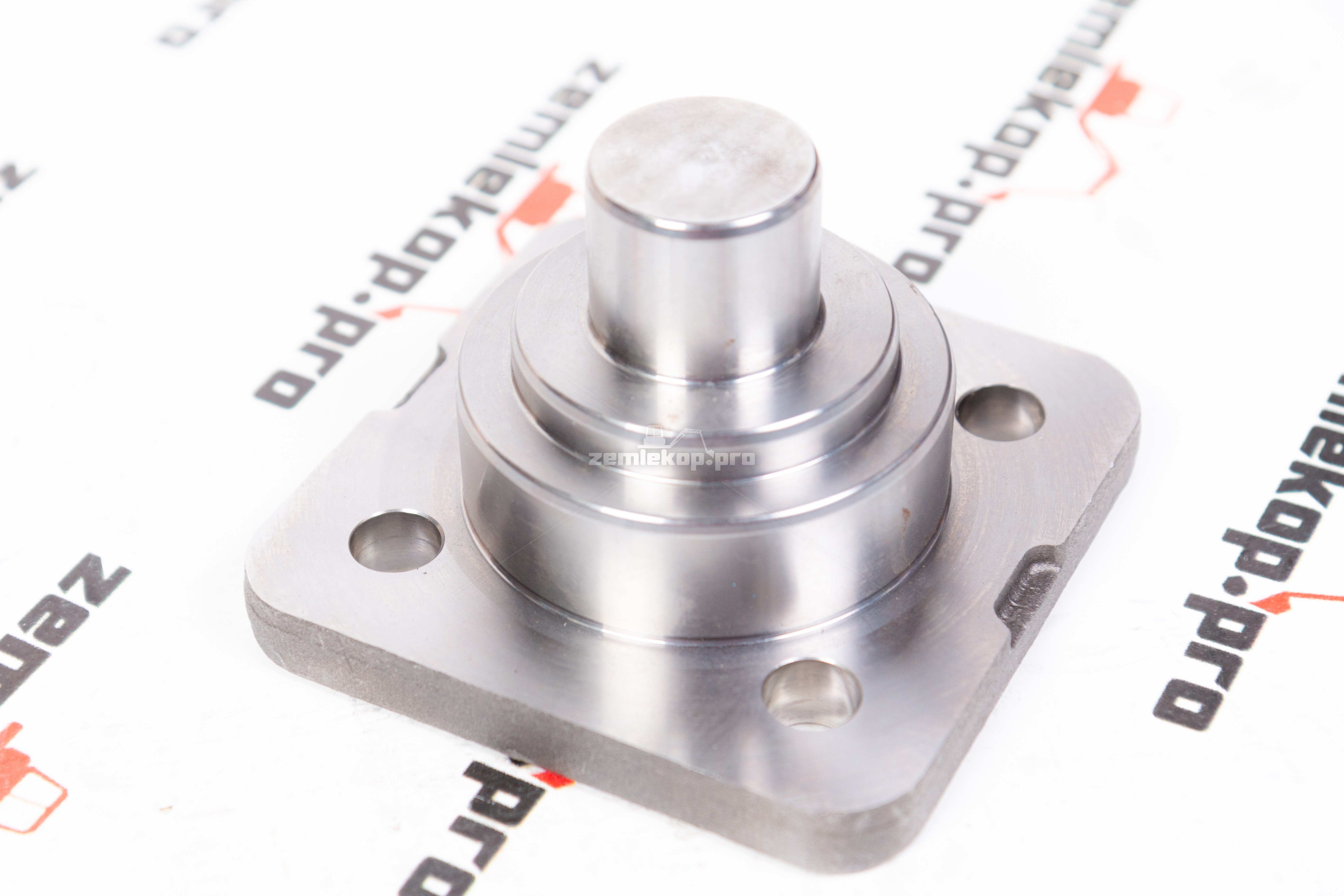 755.06.028.05 Шкворень DANA