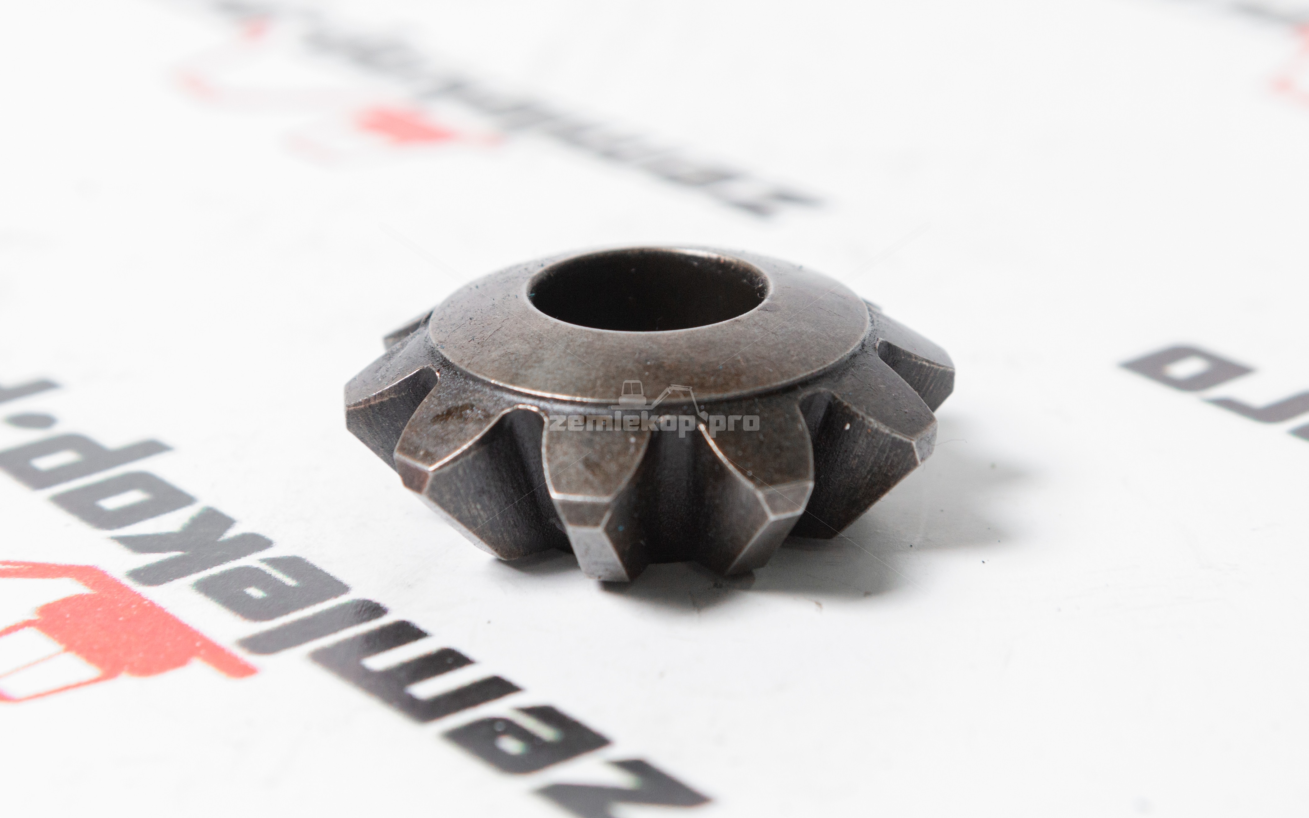 171.04.004.01A Шестерня DANA