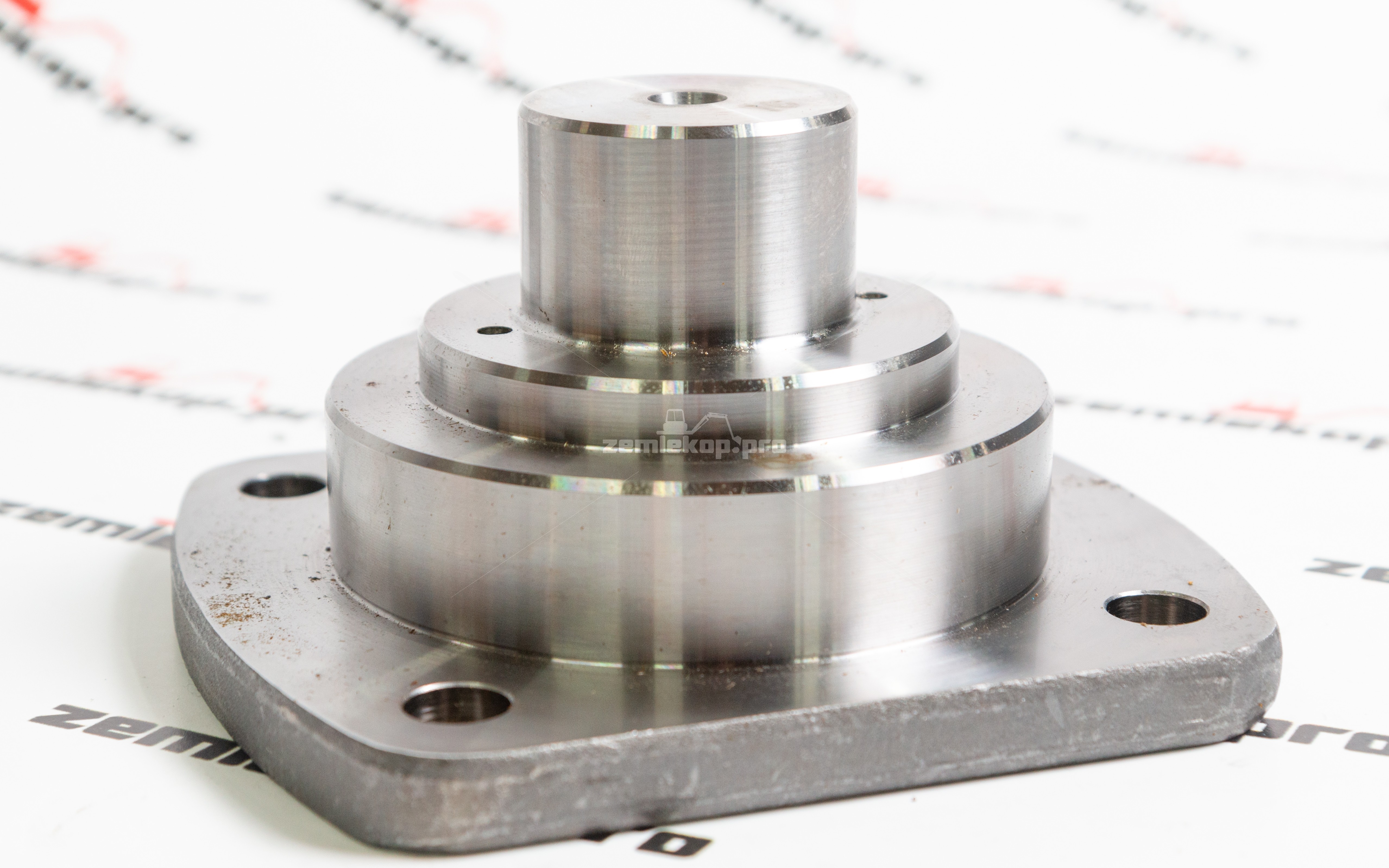 770.06.037.02 Шкворень DANA