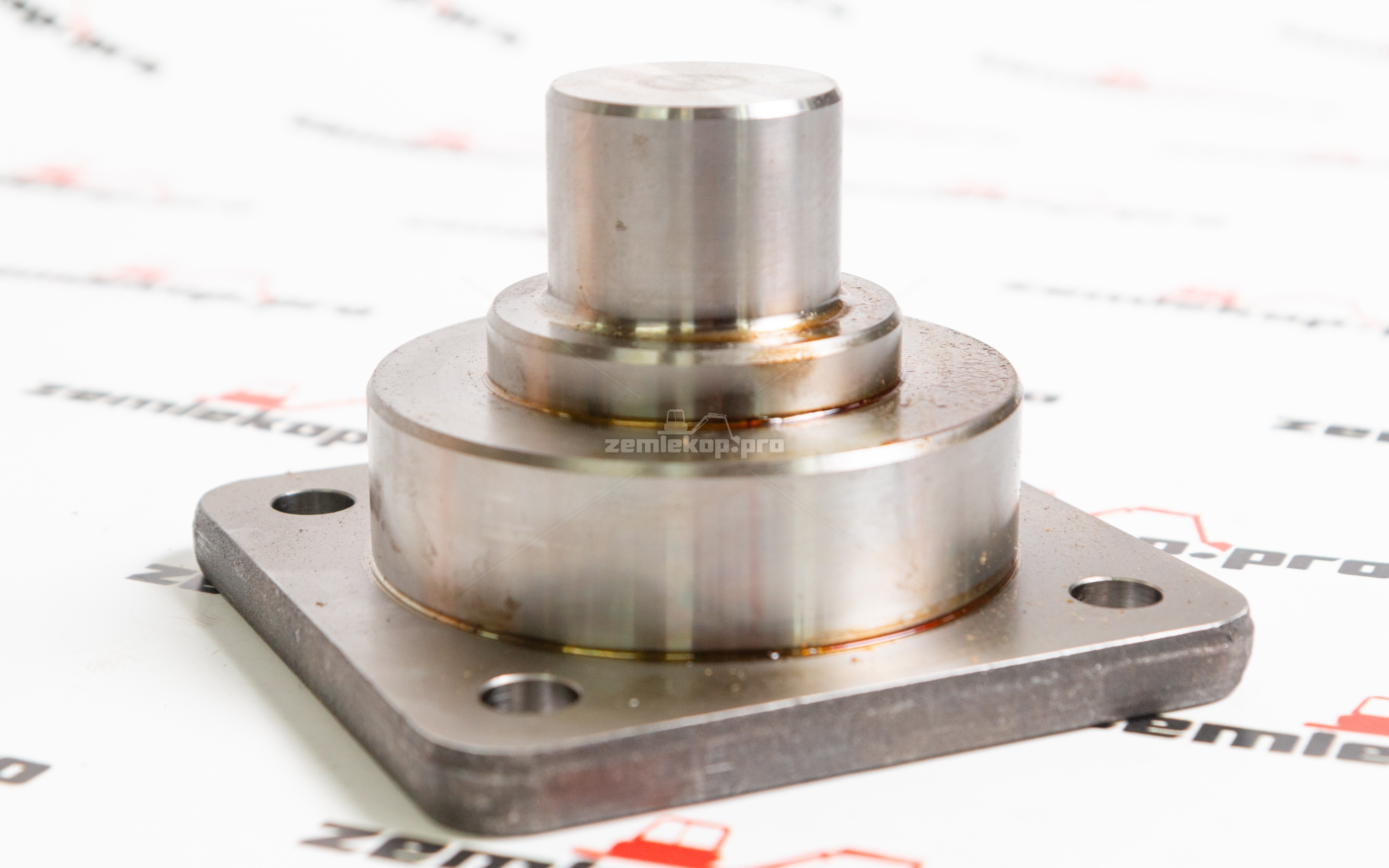 770.06.038.01 Шкворень DANA