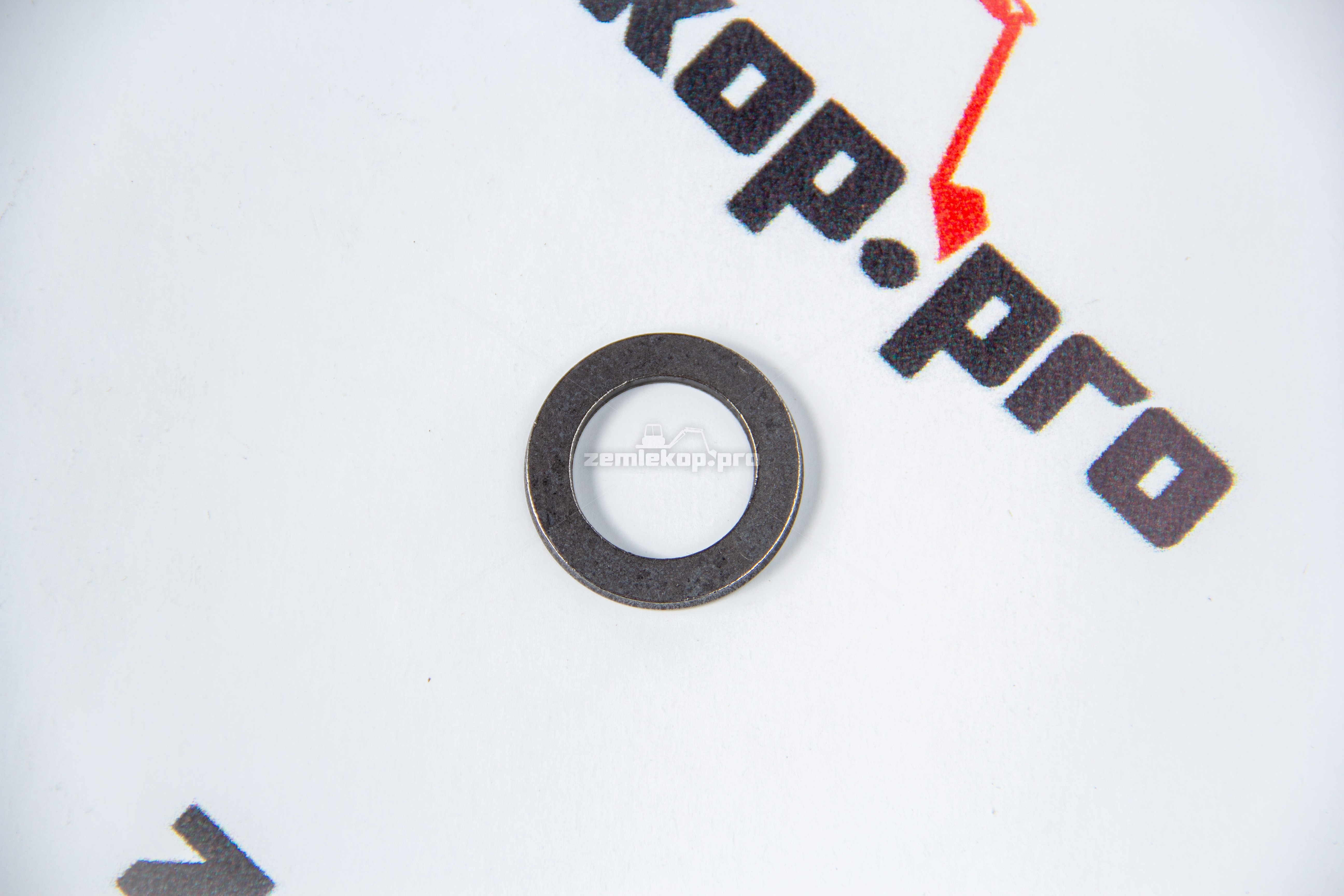 111656 Шайба DANA