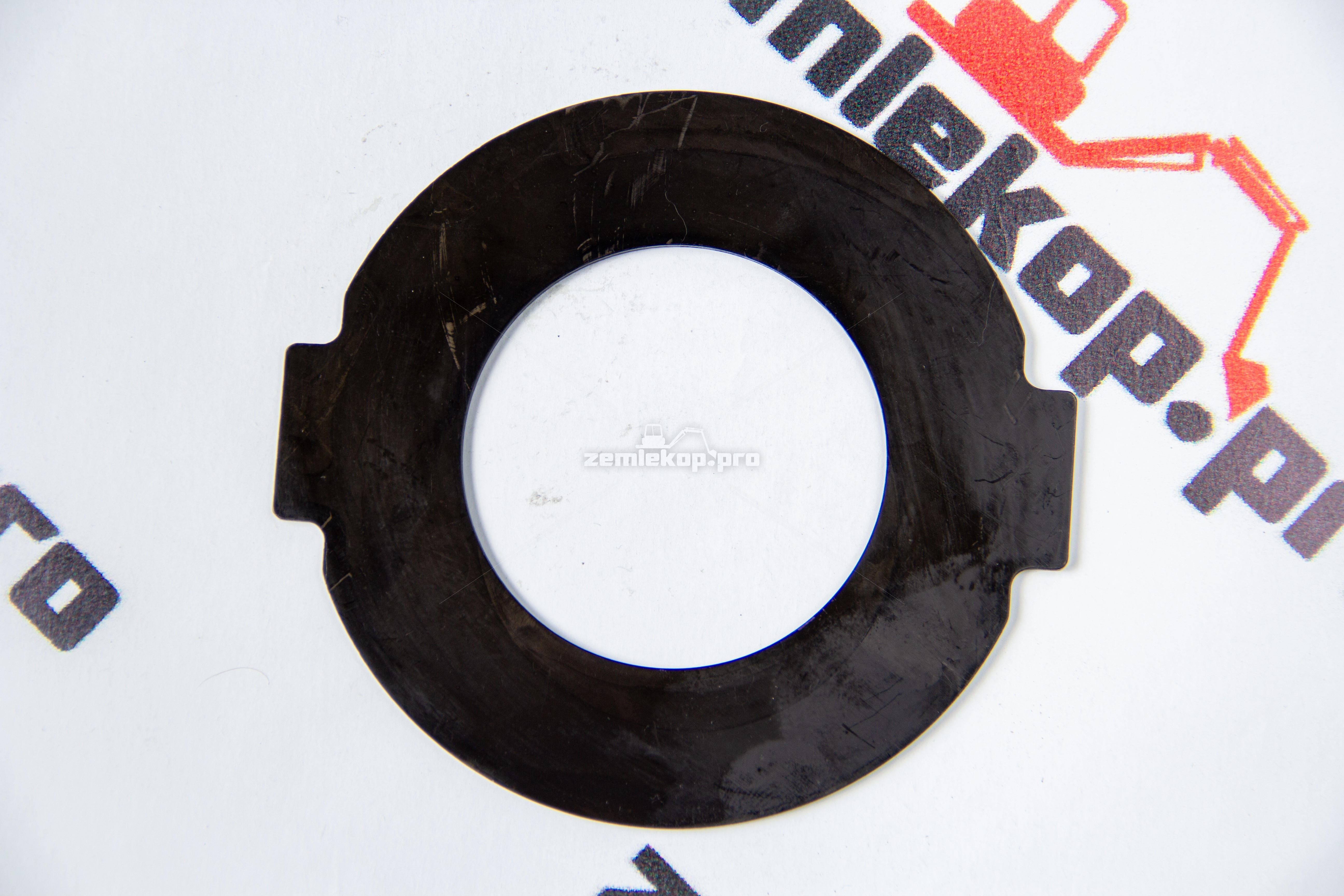 138.04.009.01 Шайба DANA