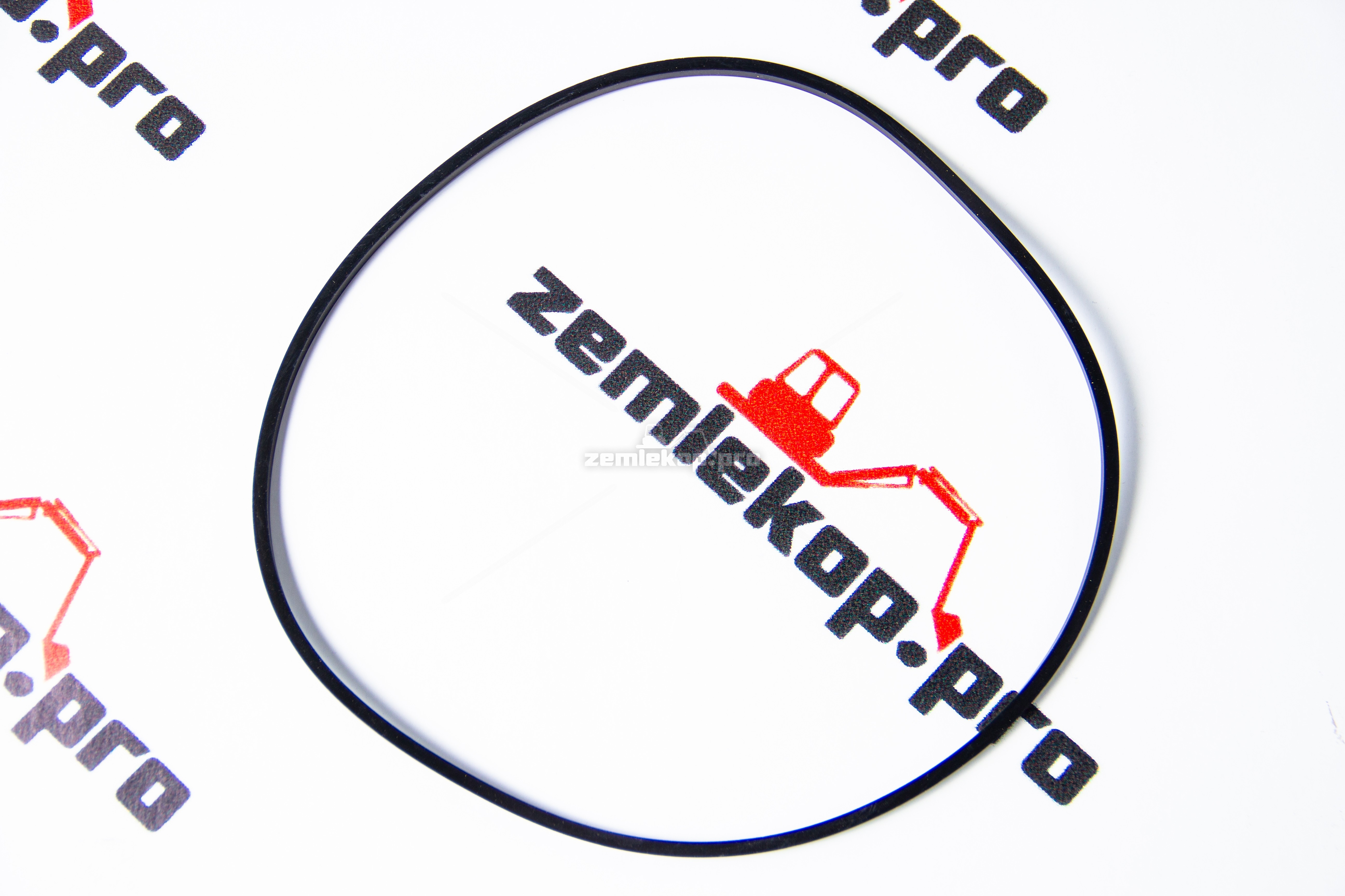 2111028 Сальник DANA