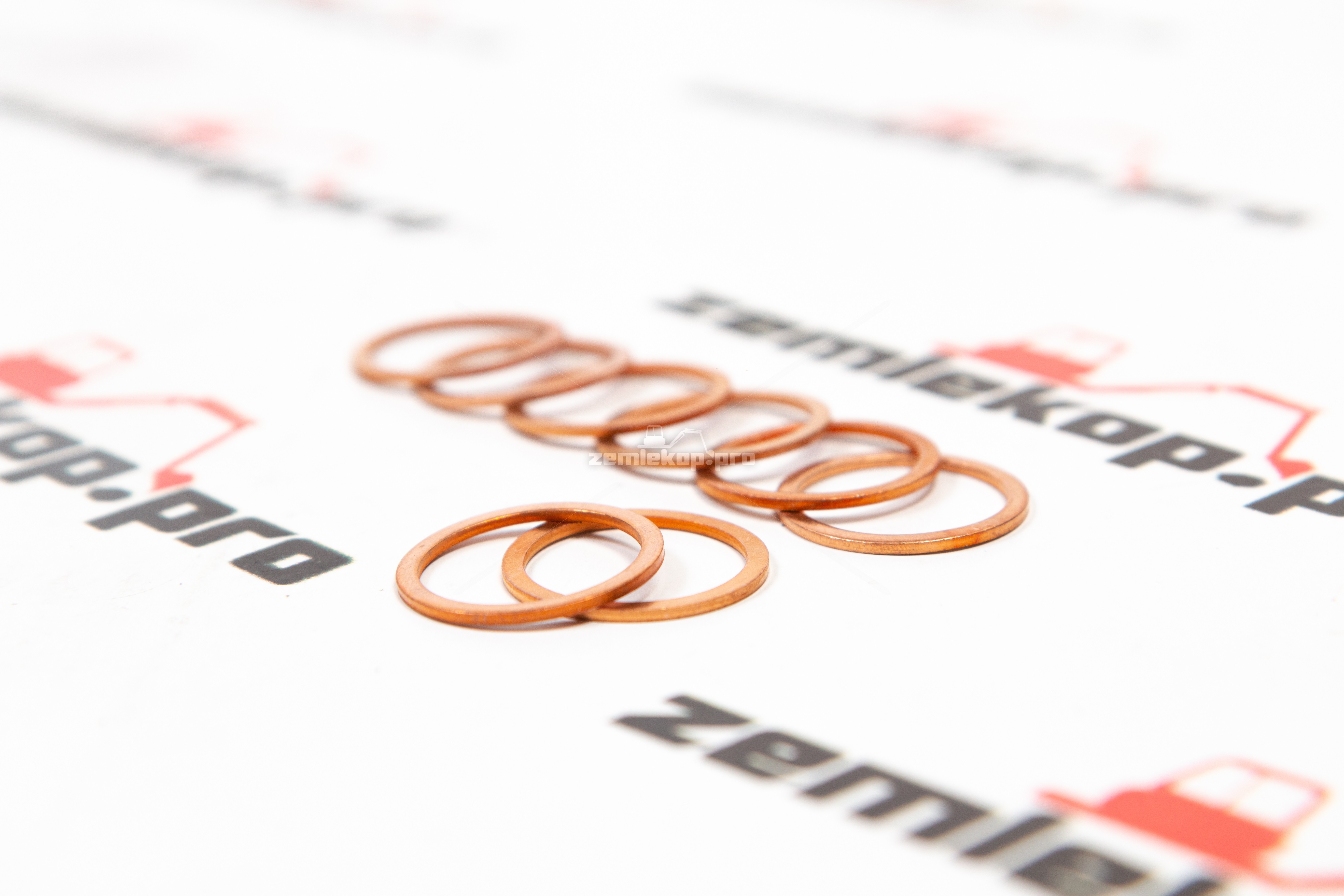 011.07.0704 Шайба DANA