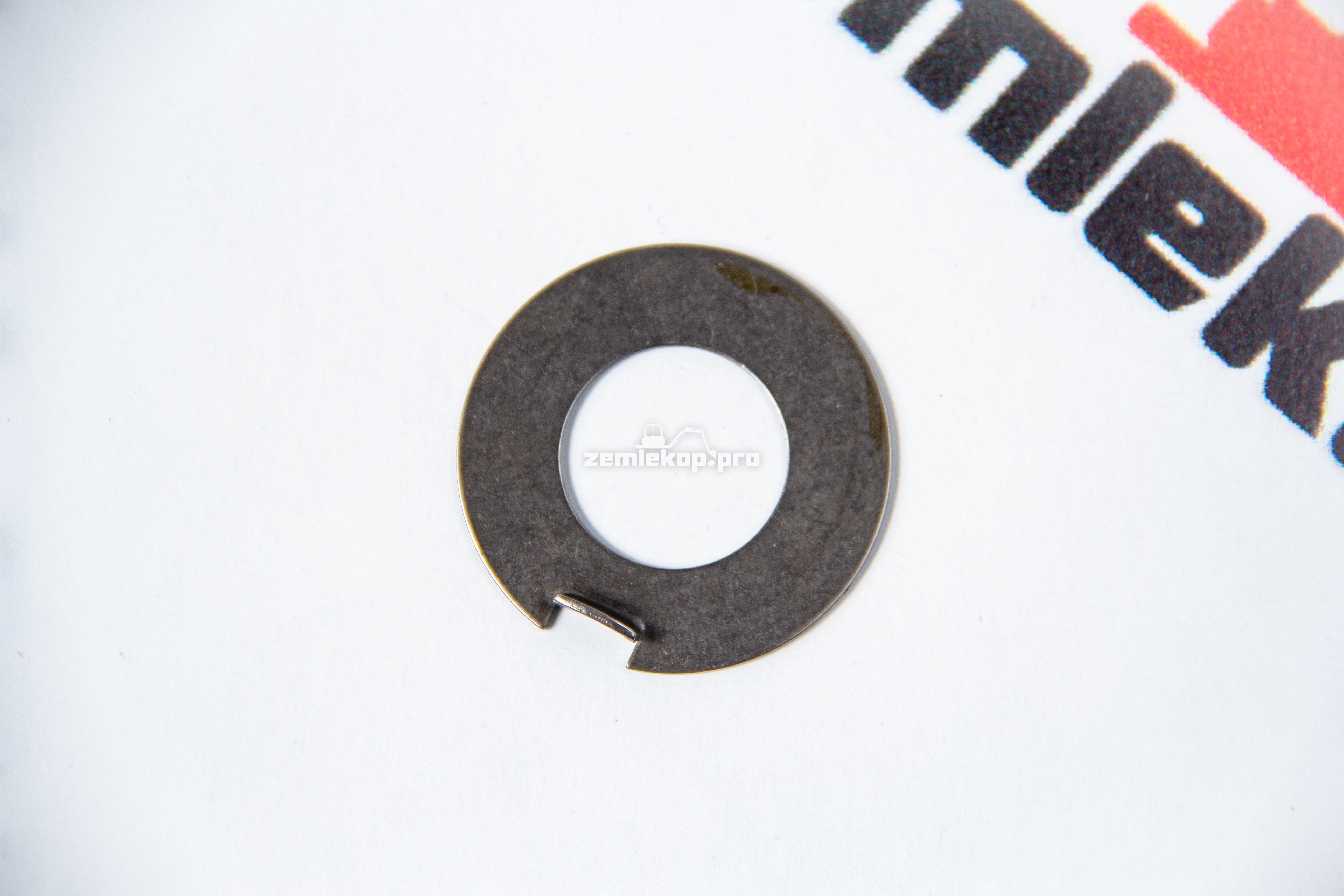 738.06.009.02 Шайба DANA