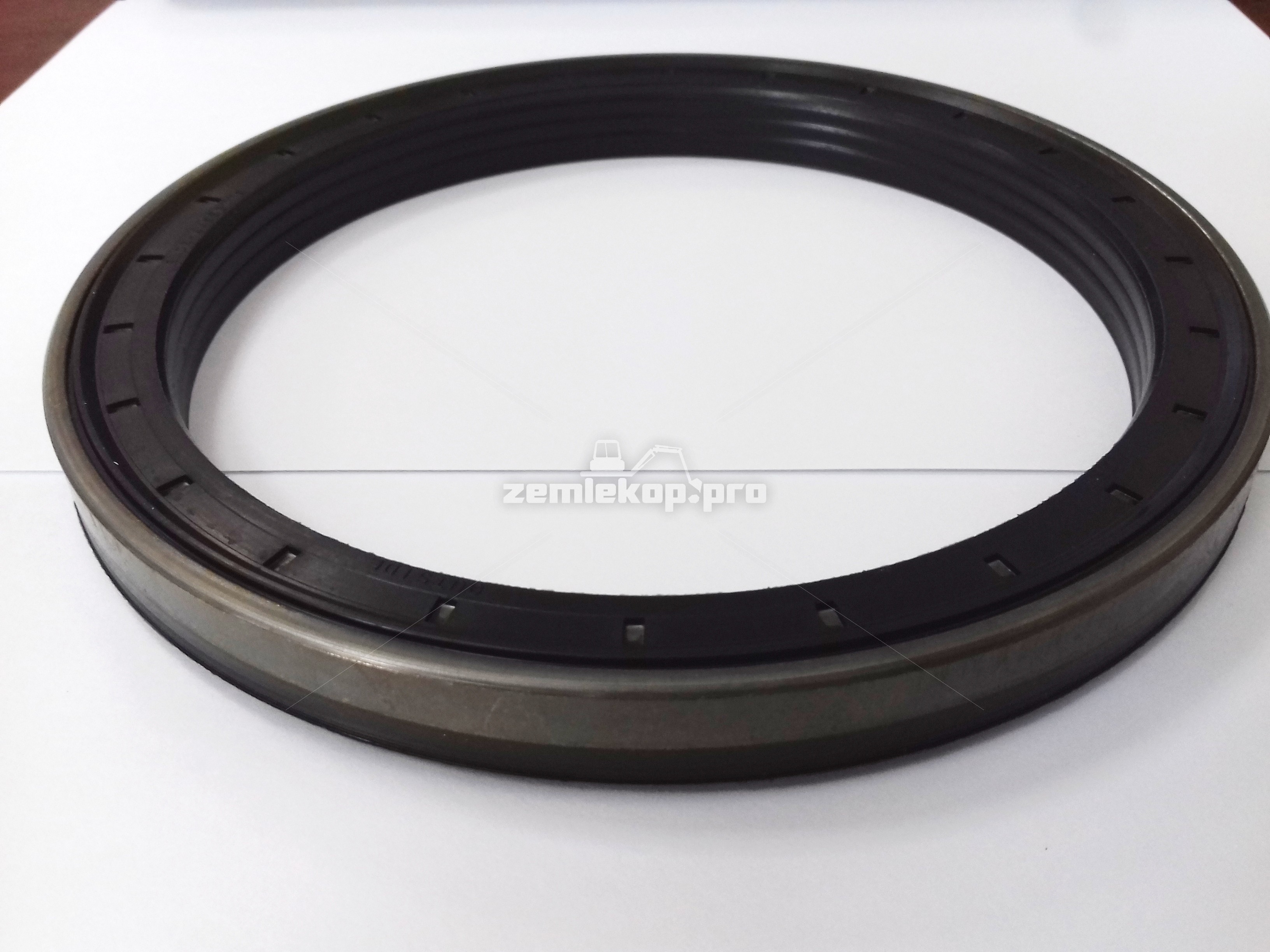 177.06.009.01 Сальник DANA