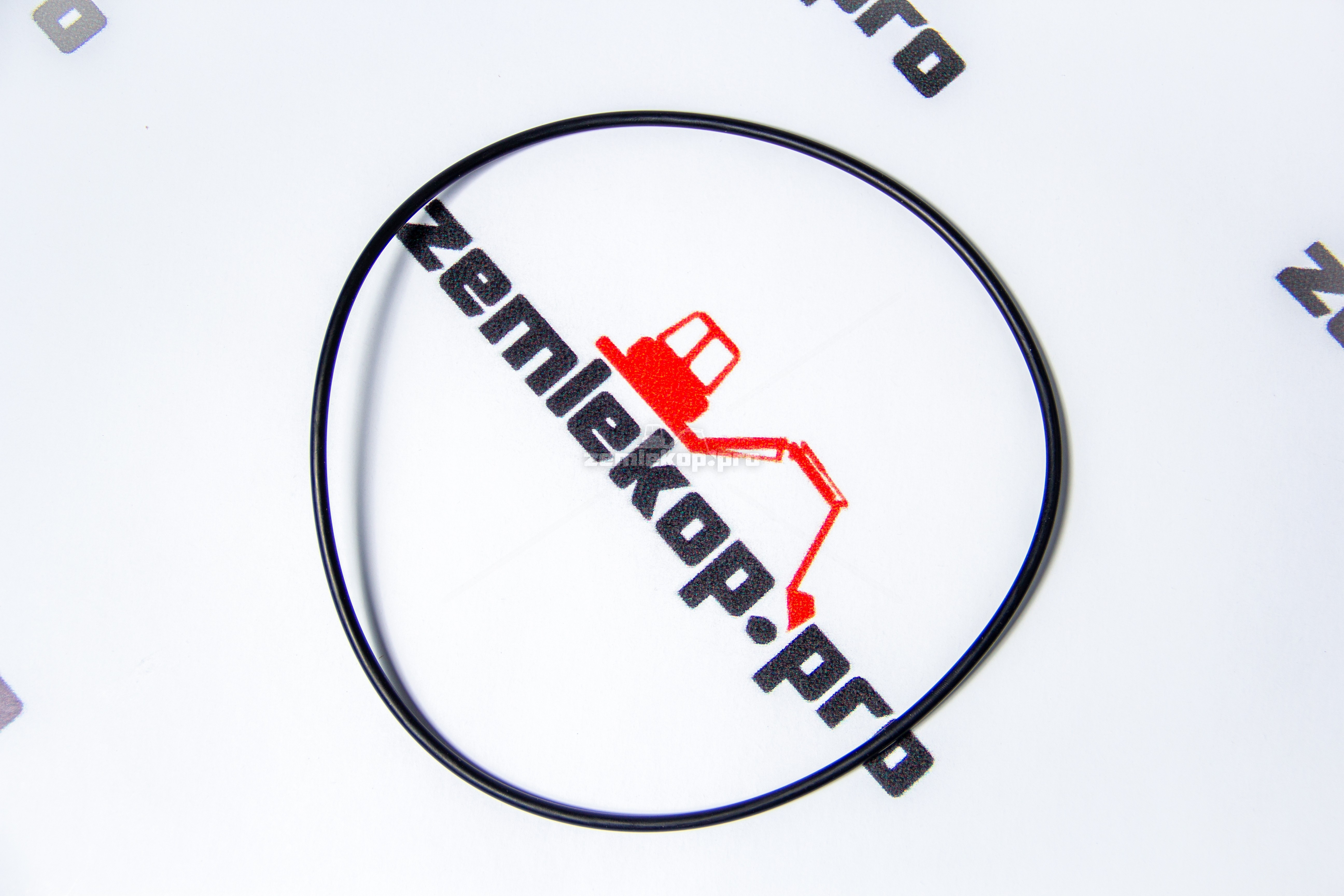 001.05.0731 О-кольцо DANA