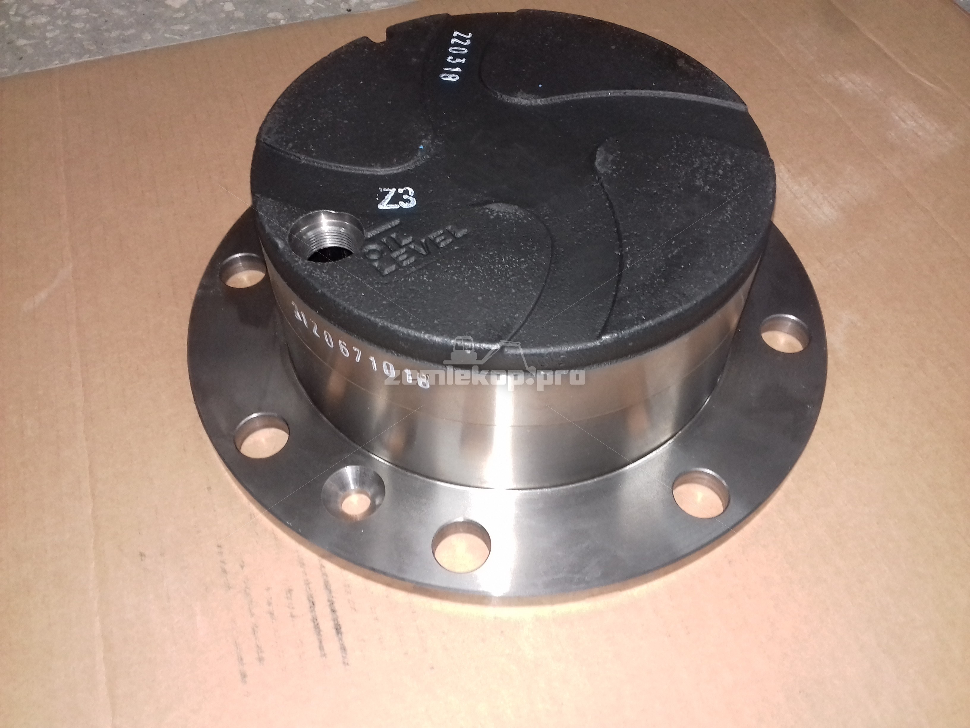 212.06.710.18 Ступица в сборе DANA