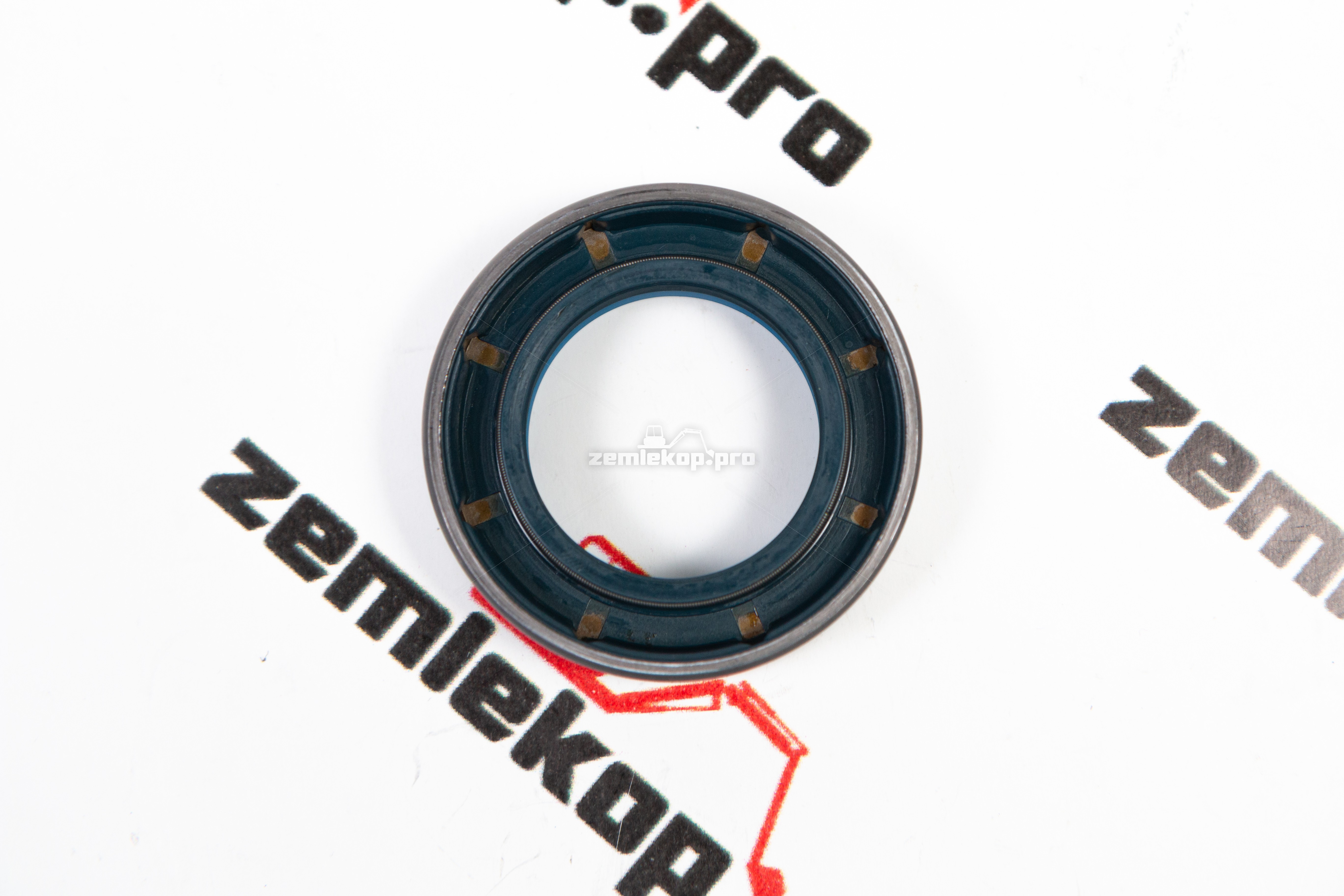 000.051754 Кольцо DANA