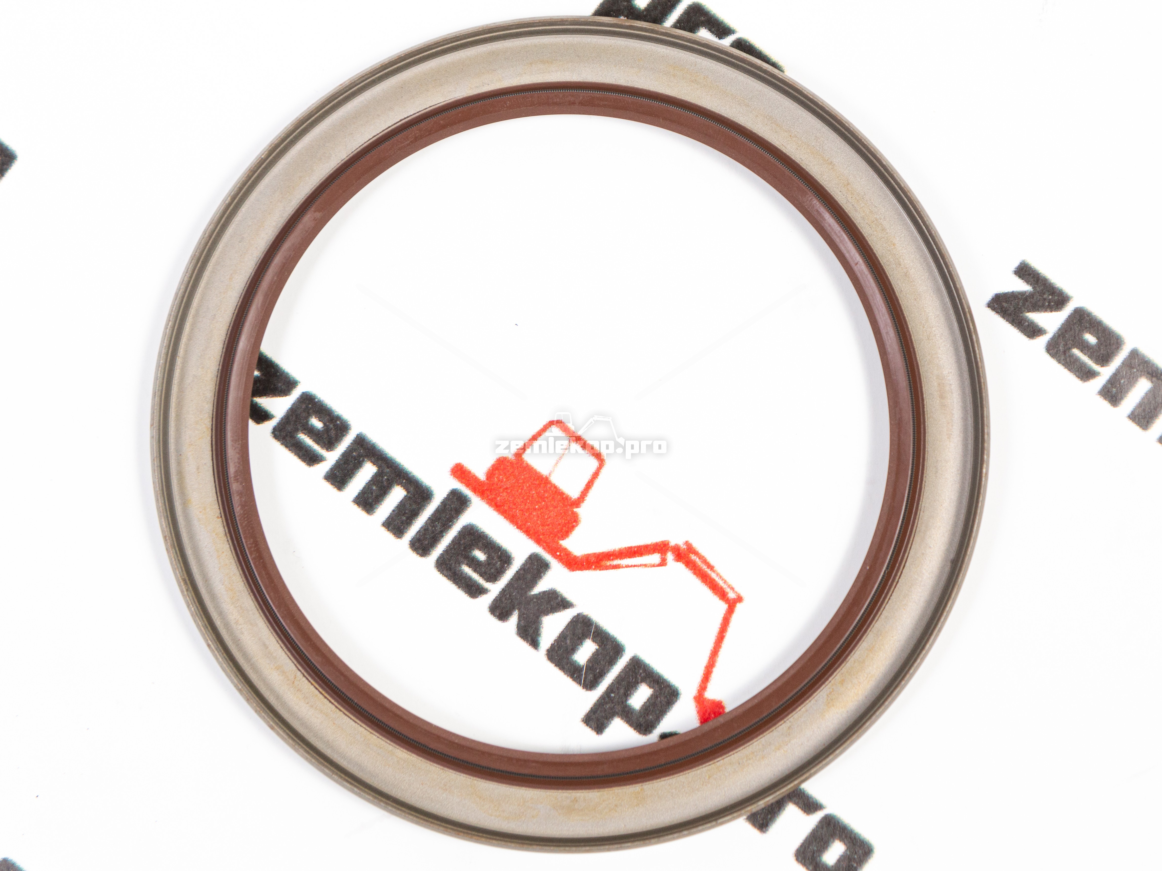 4213739 Сальник DANA