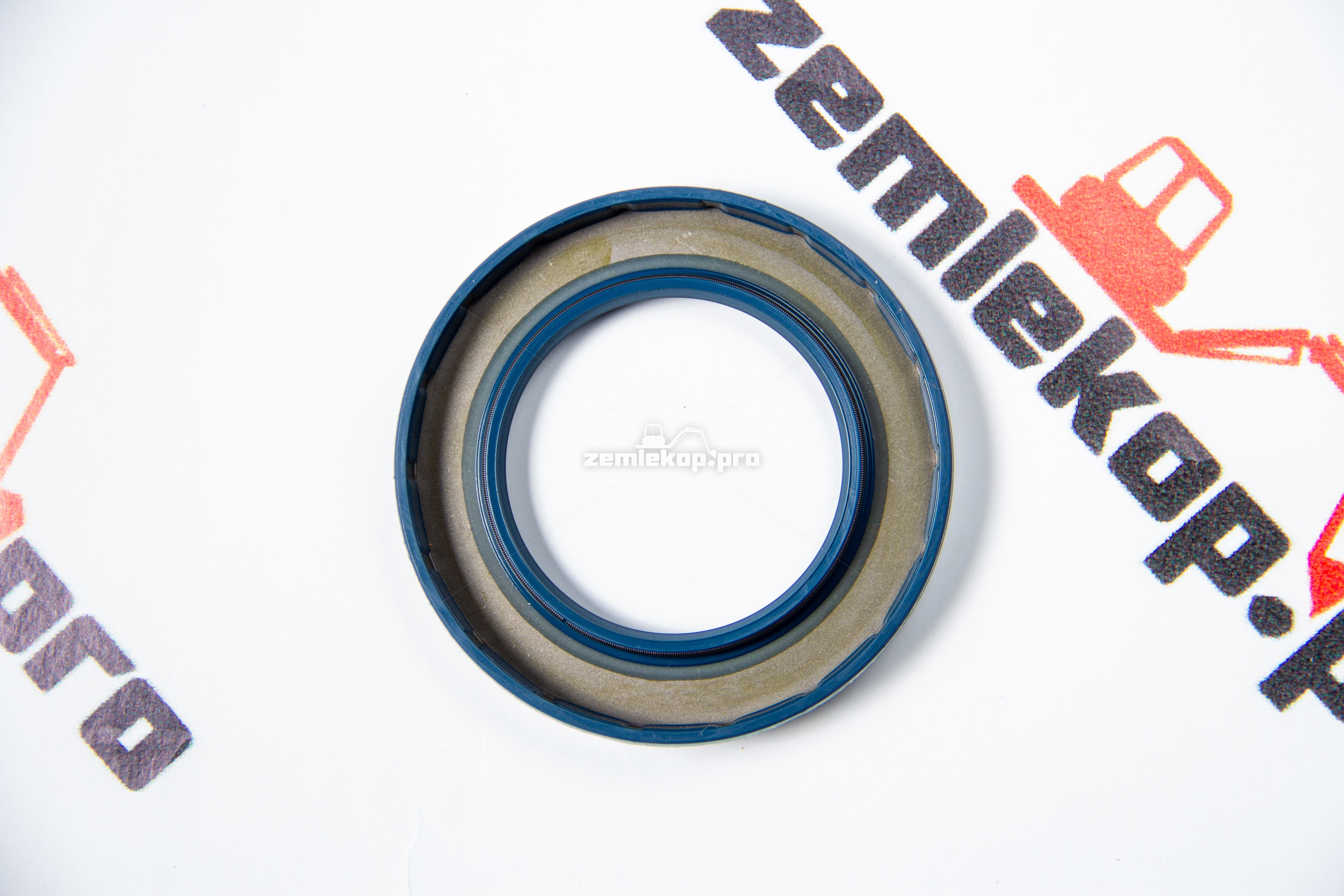 001.01.0019 Сальник DANA