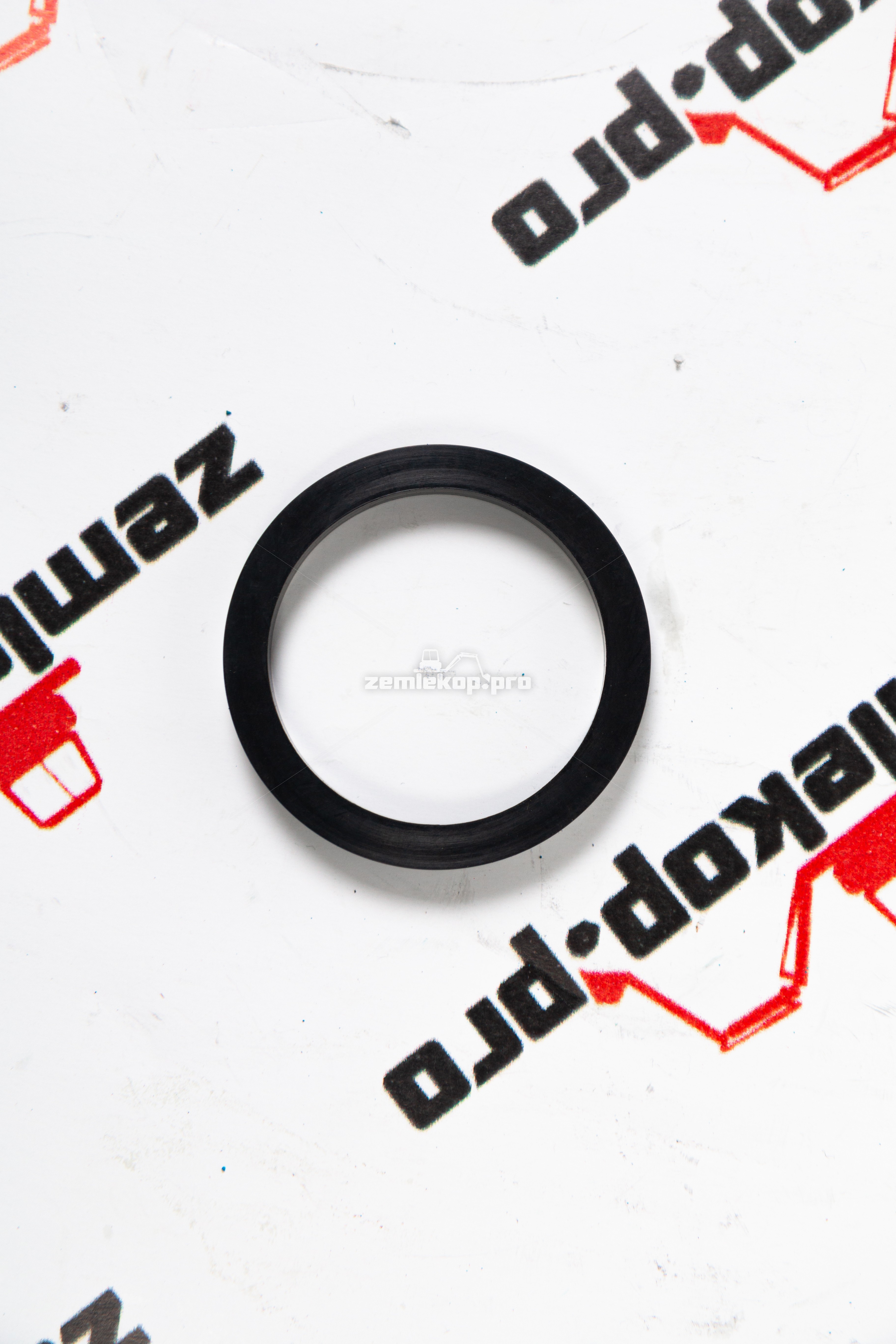 219373 Сальник DANA