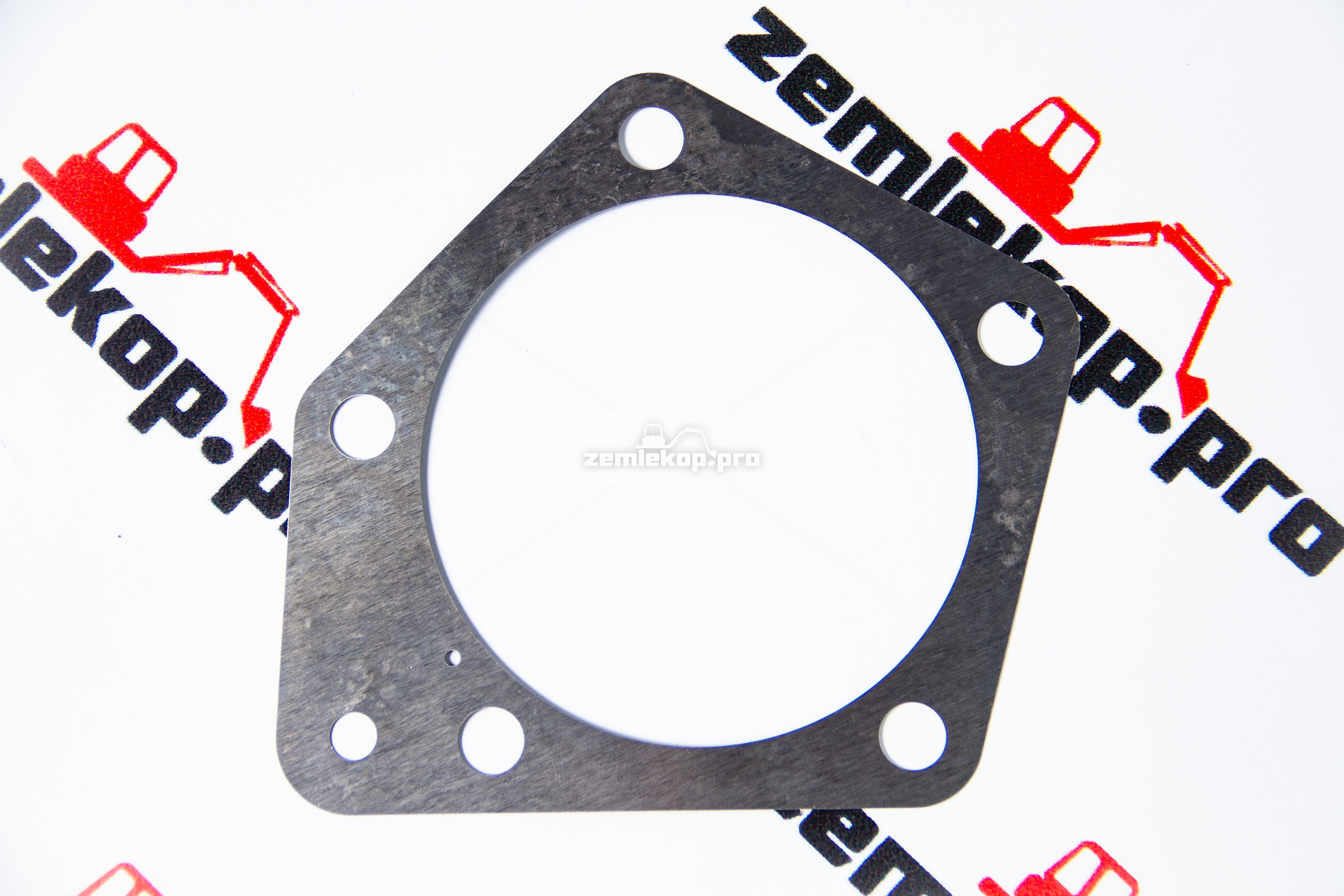 217691 Прокладка DANA