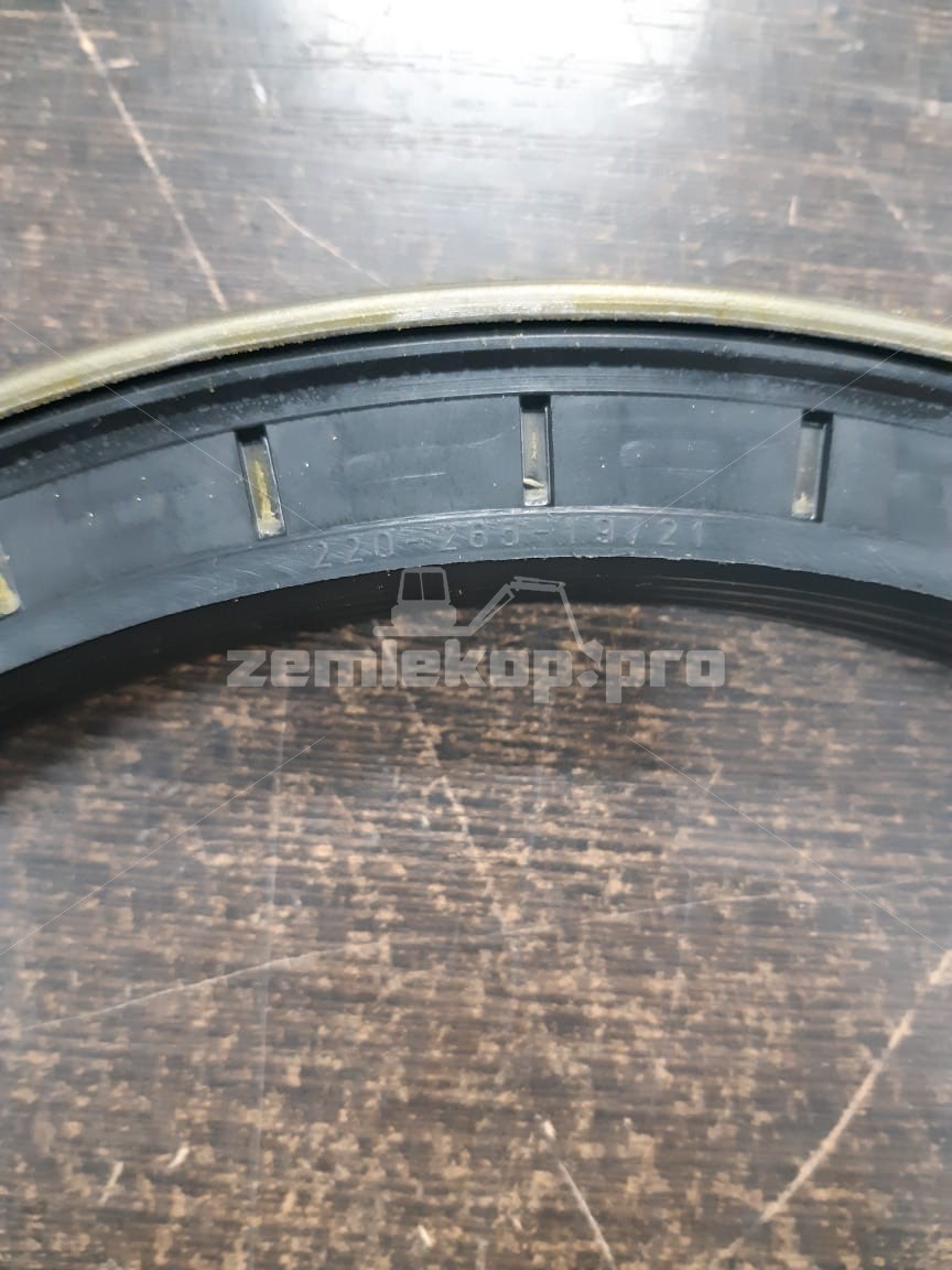 163.07.009.01 Сальник DANA