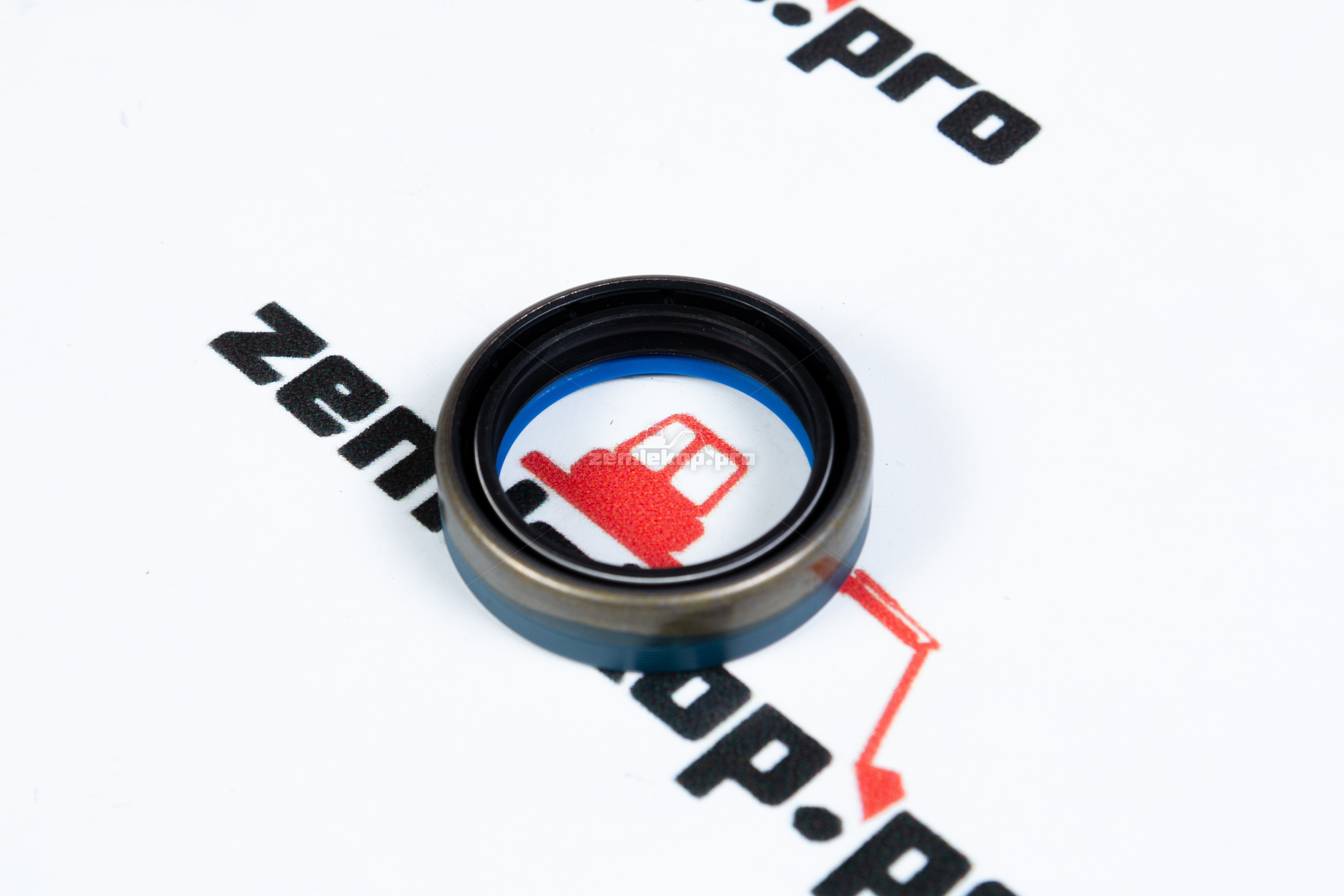 211.06.020.01 Сальник DANA