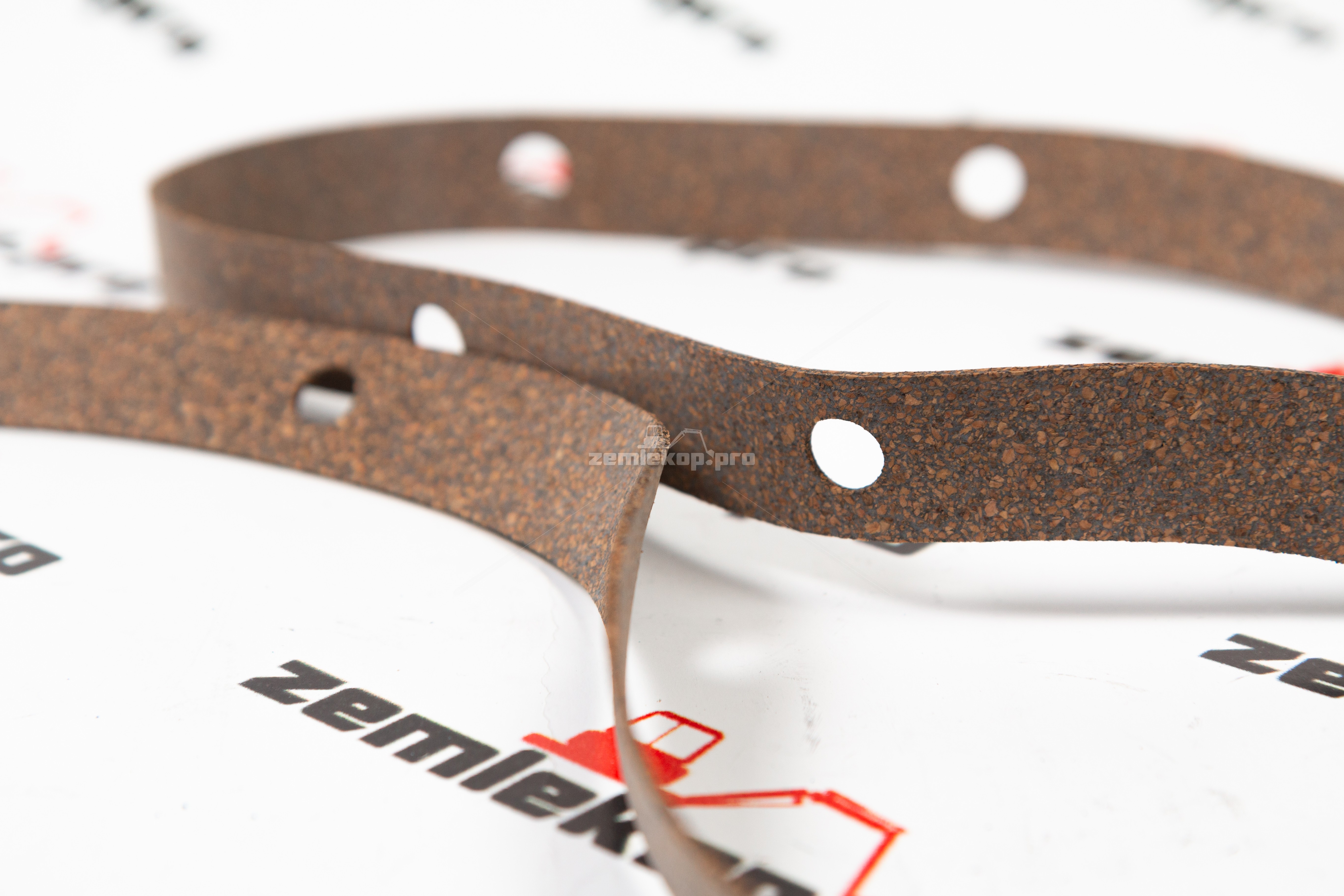 217284 Прокладка DANA