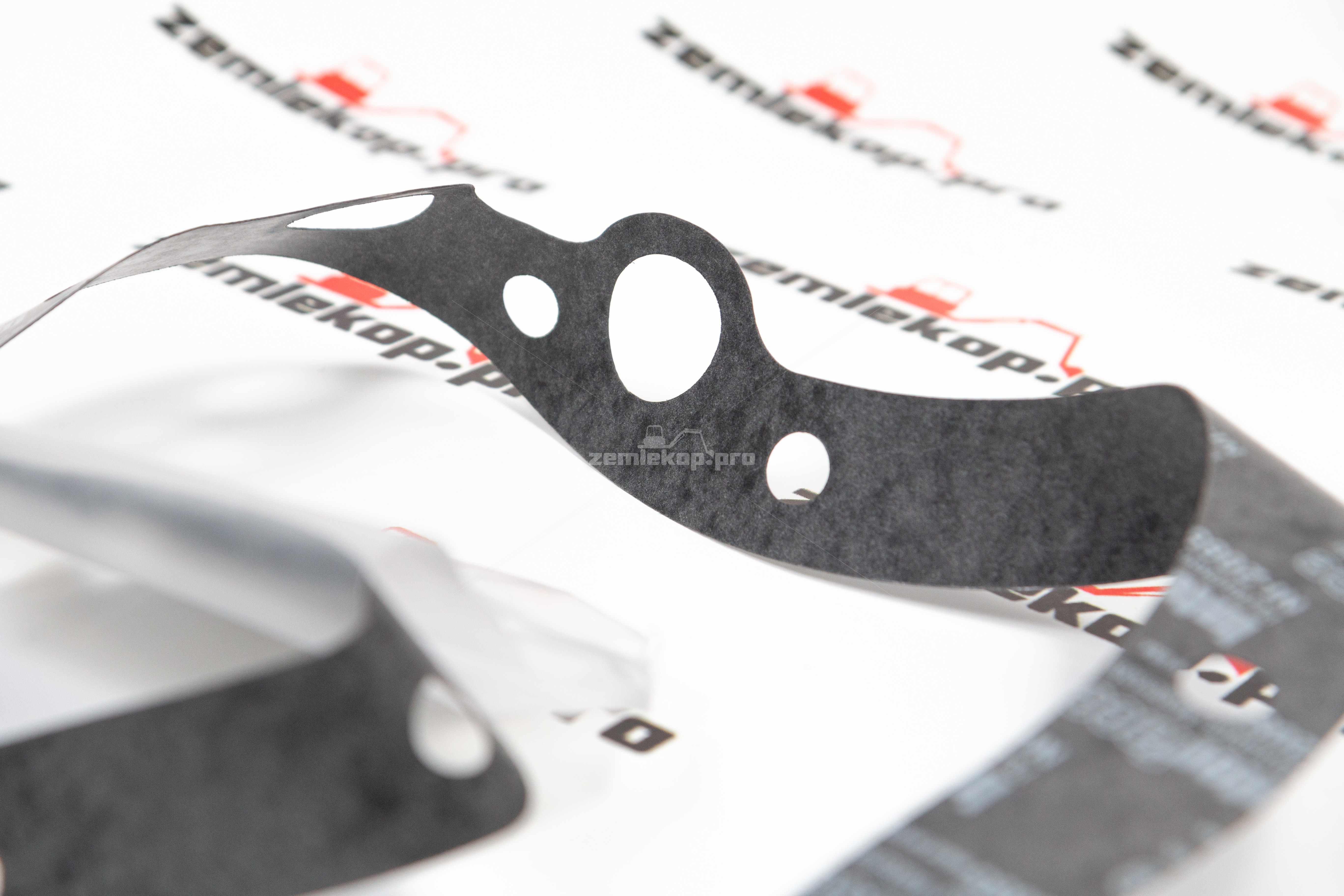 248737 Прокладка DANA