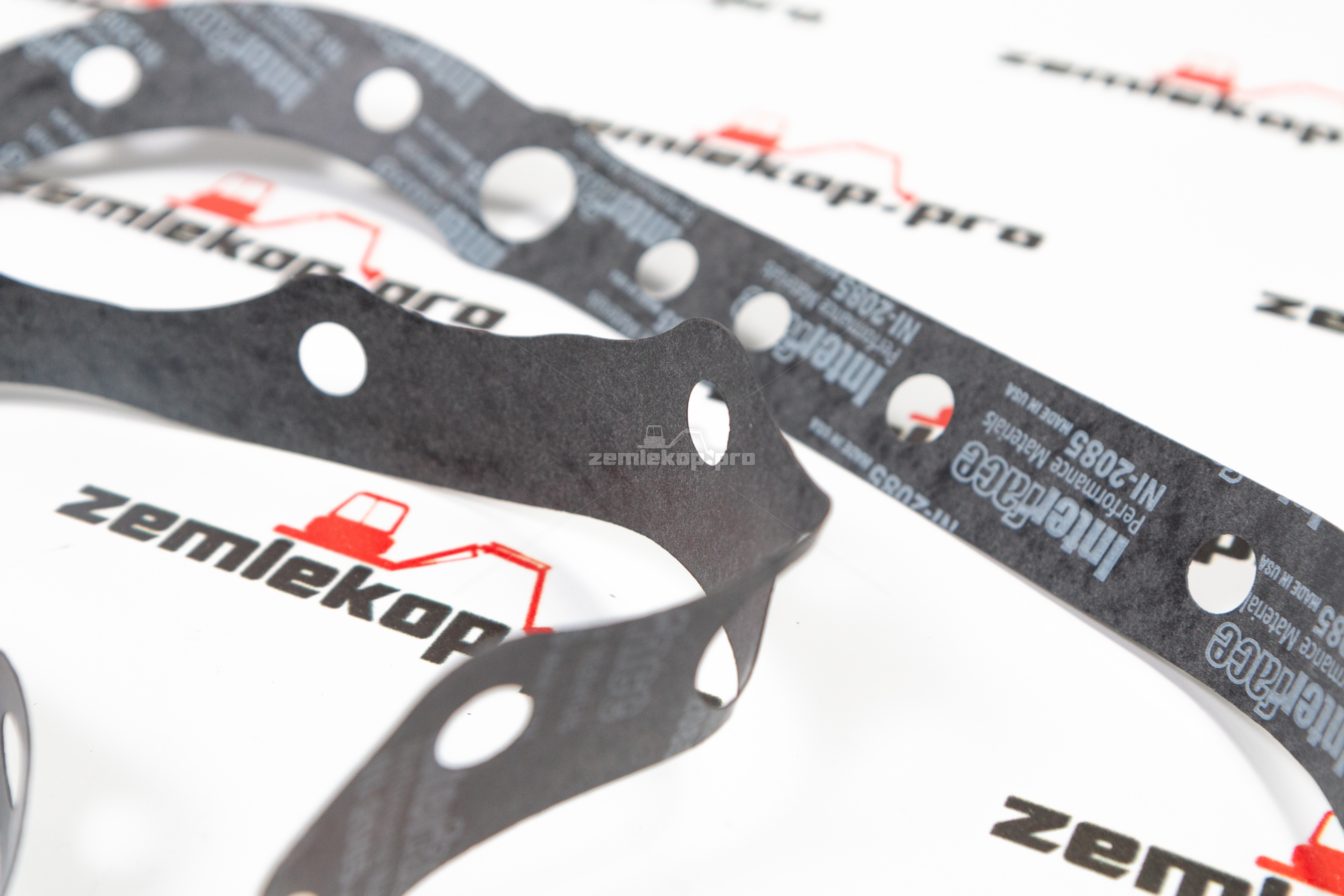 249731 Прокладка DANA