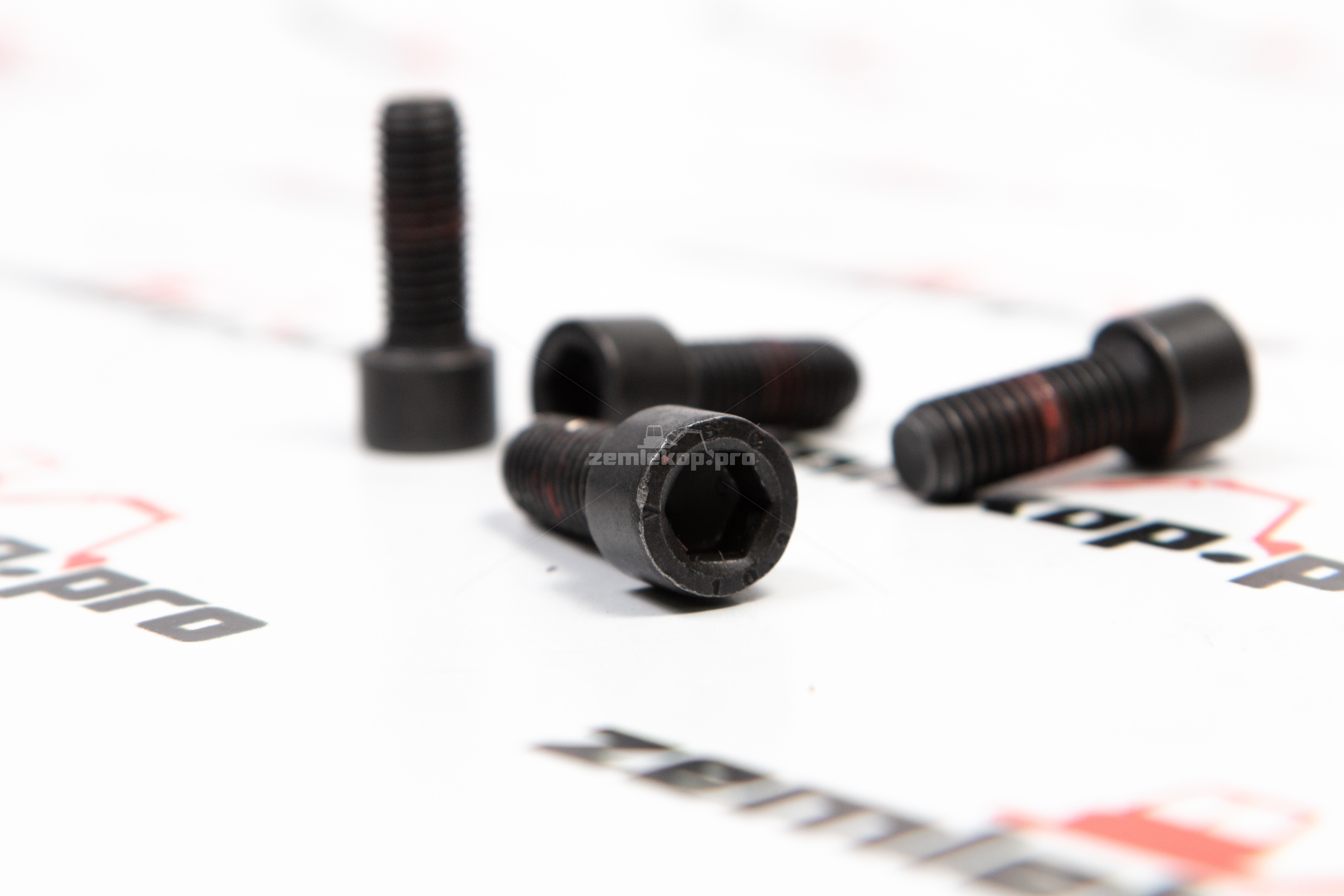 016.30.3719-R Болт DANA