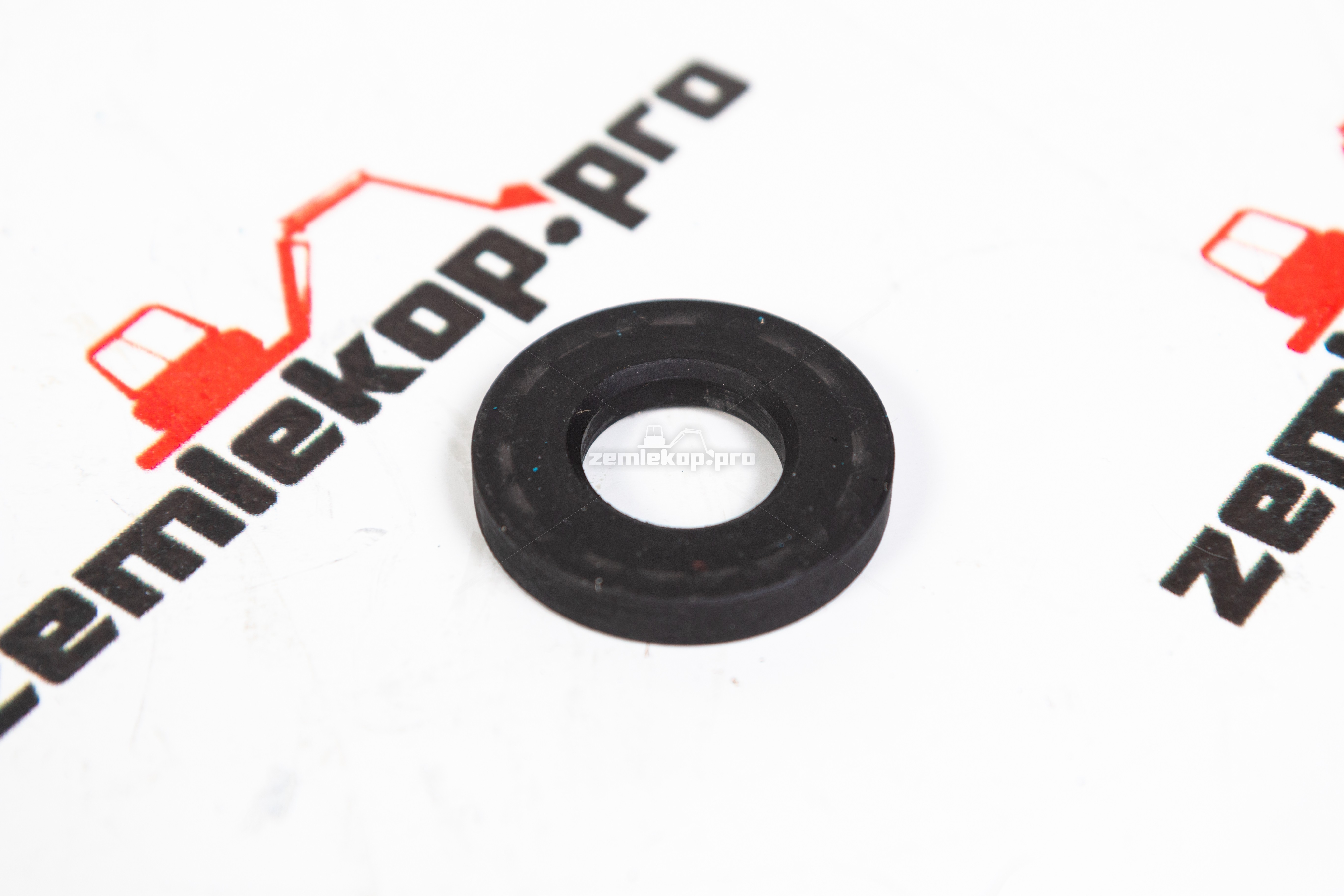 000.245320.002-R Шайба DANA