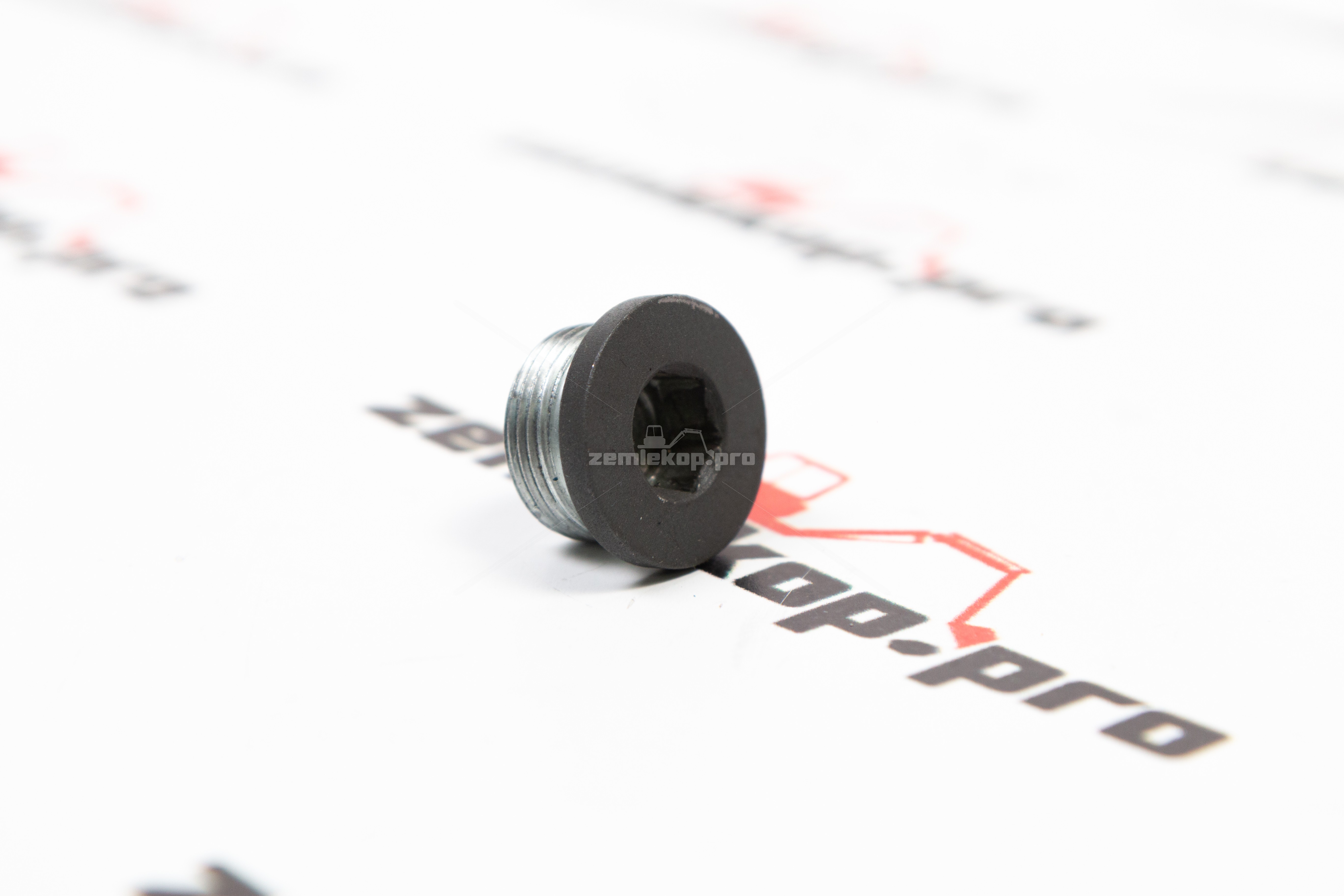 000.065060-R Пробка DANA