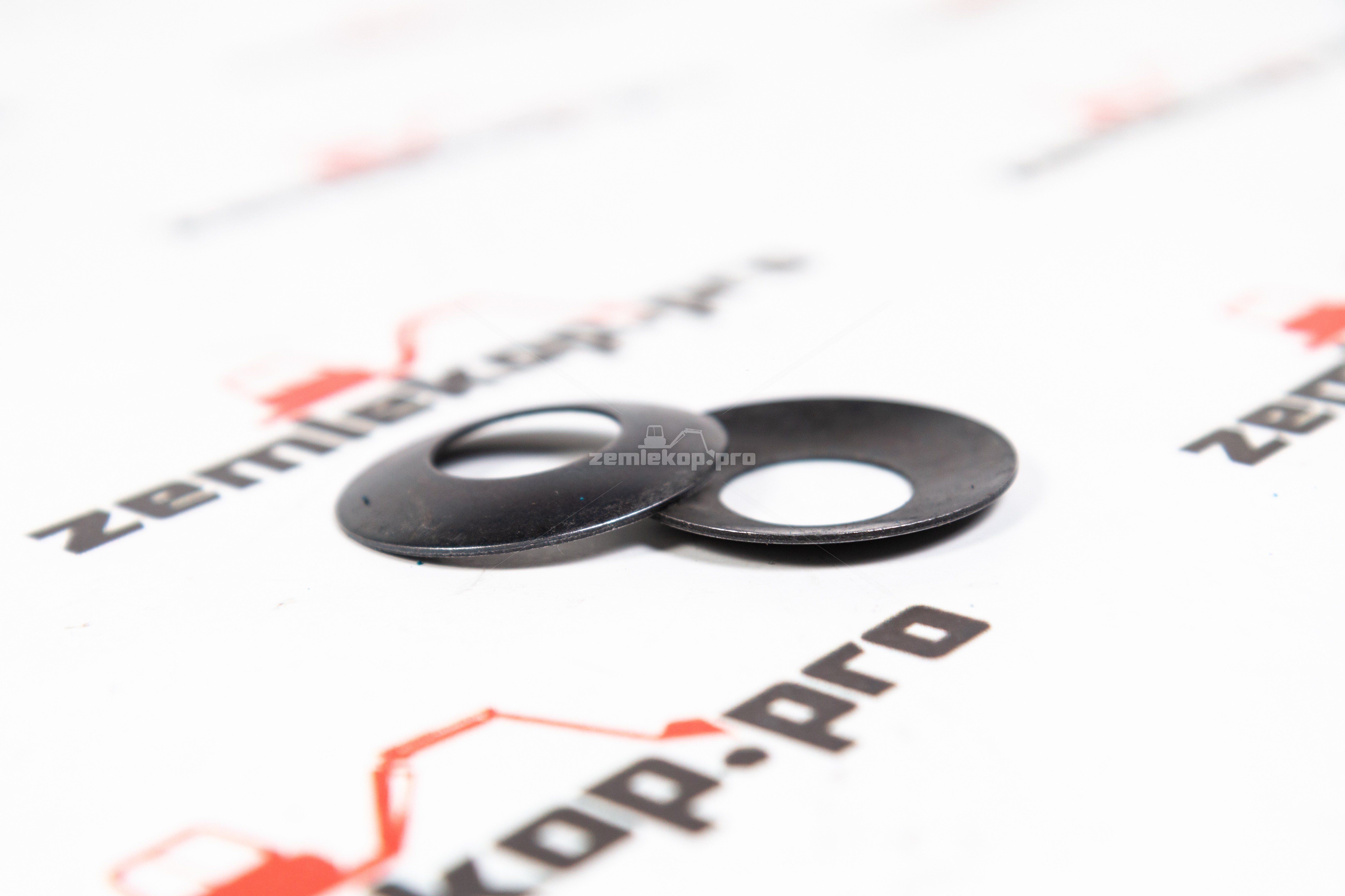 750.04.006.01-R Шайба DANA