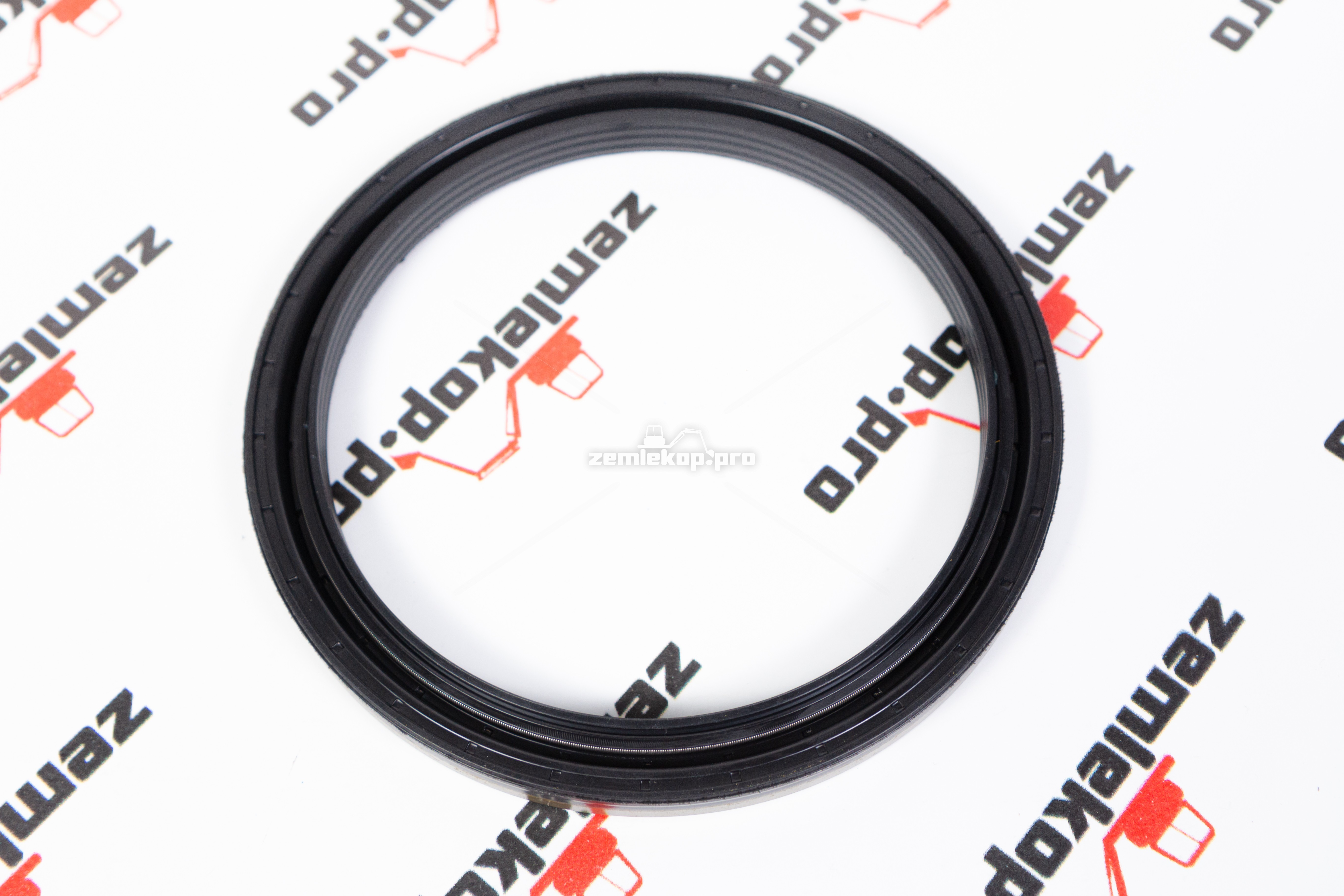 123.06.016.03 Сальник DANA