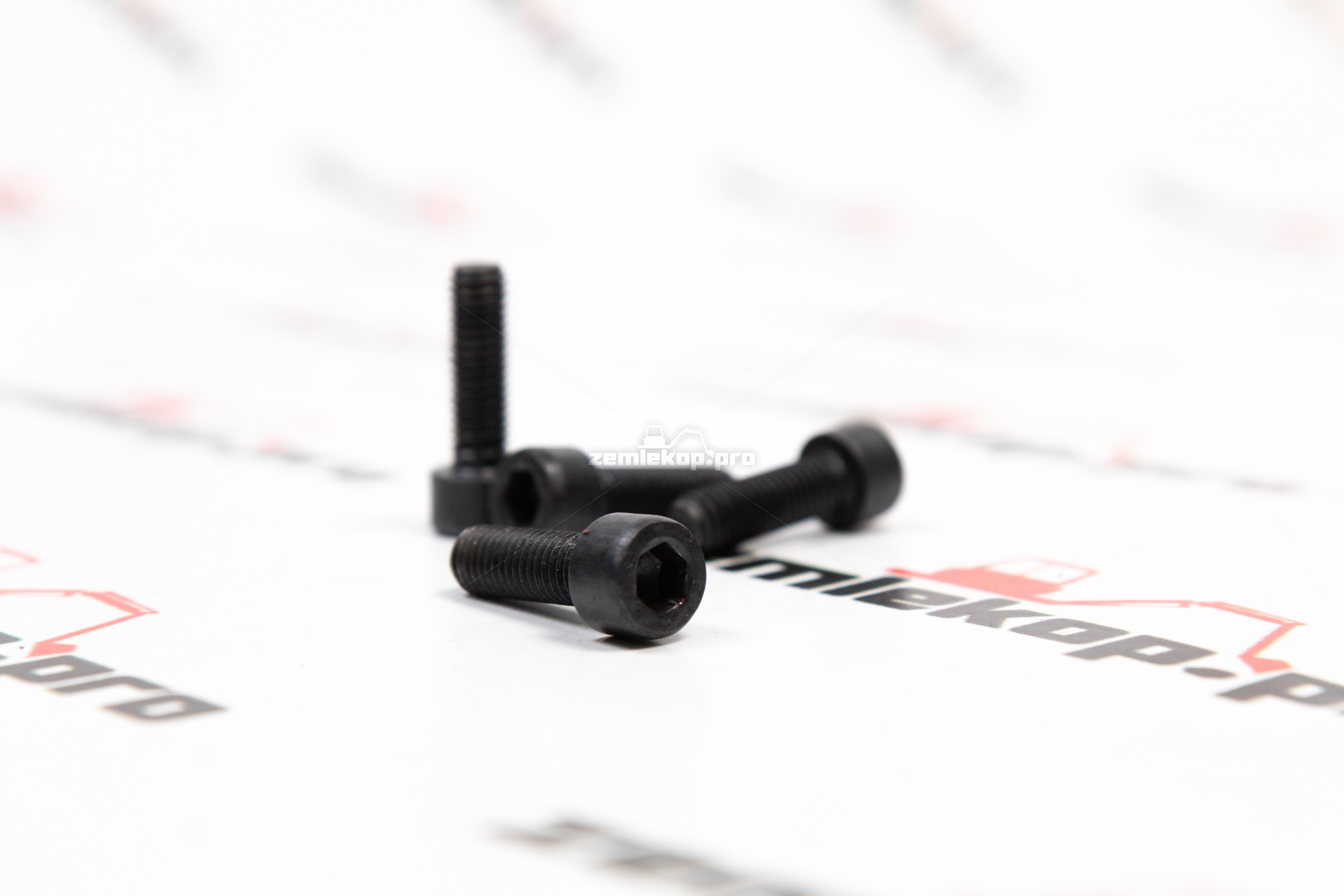 016.30.4289-R Болт DANA