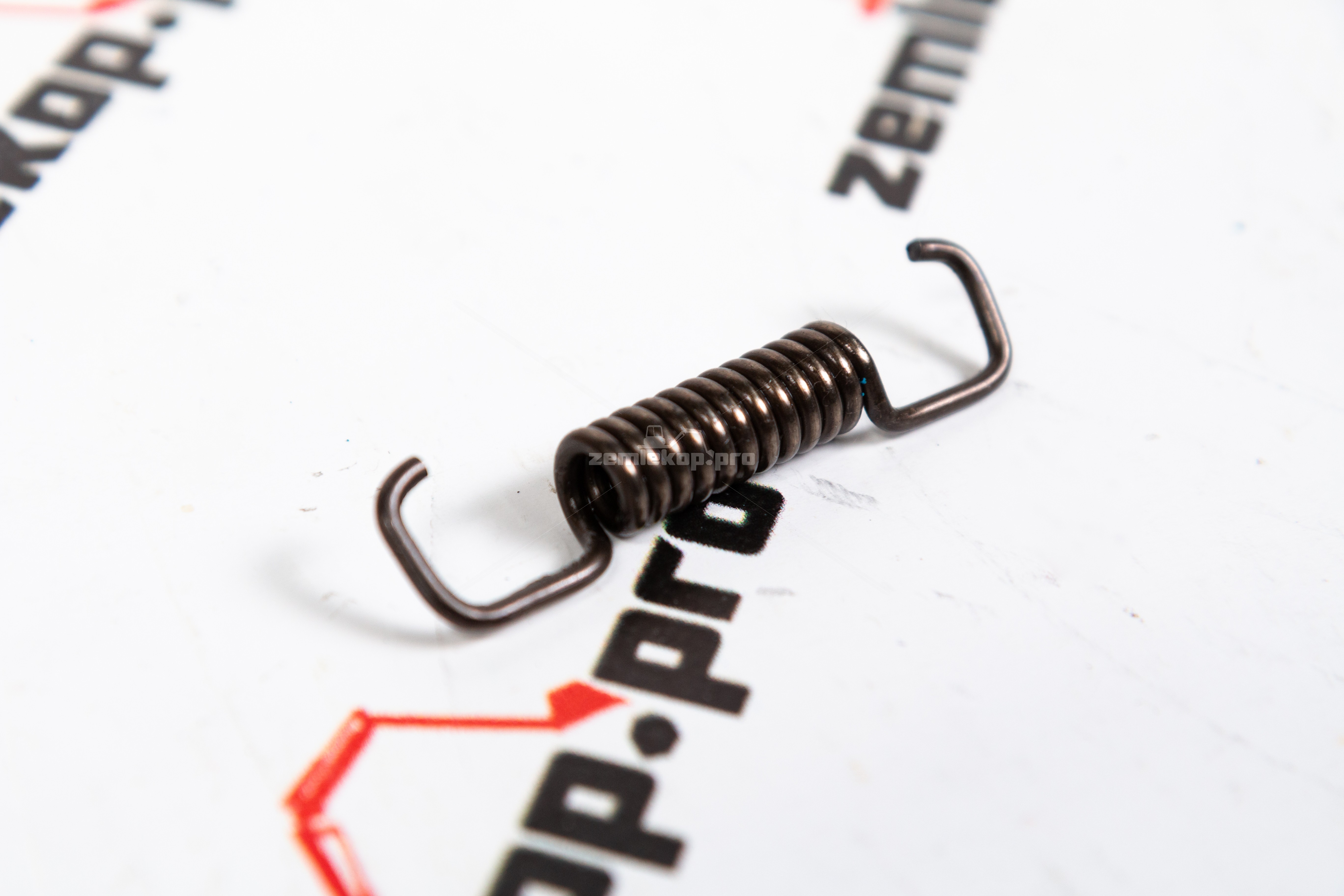 180.07.004.01-R Пружина DANA