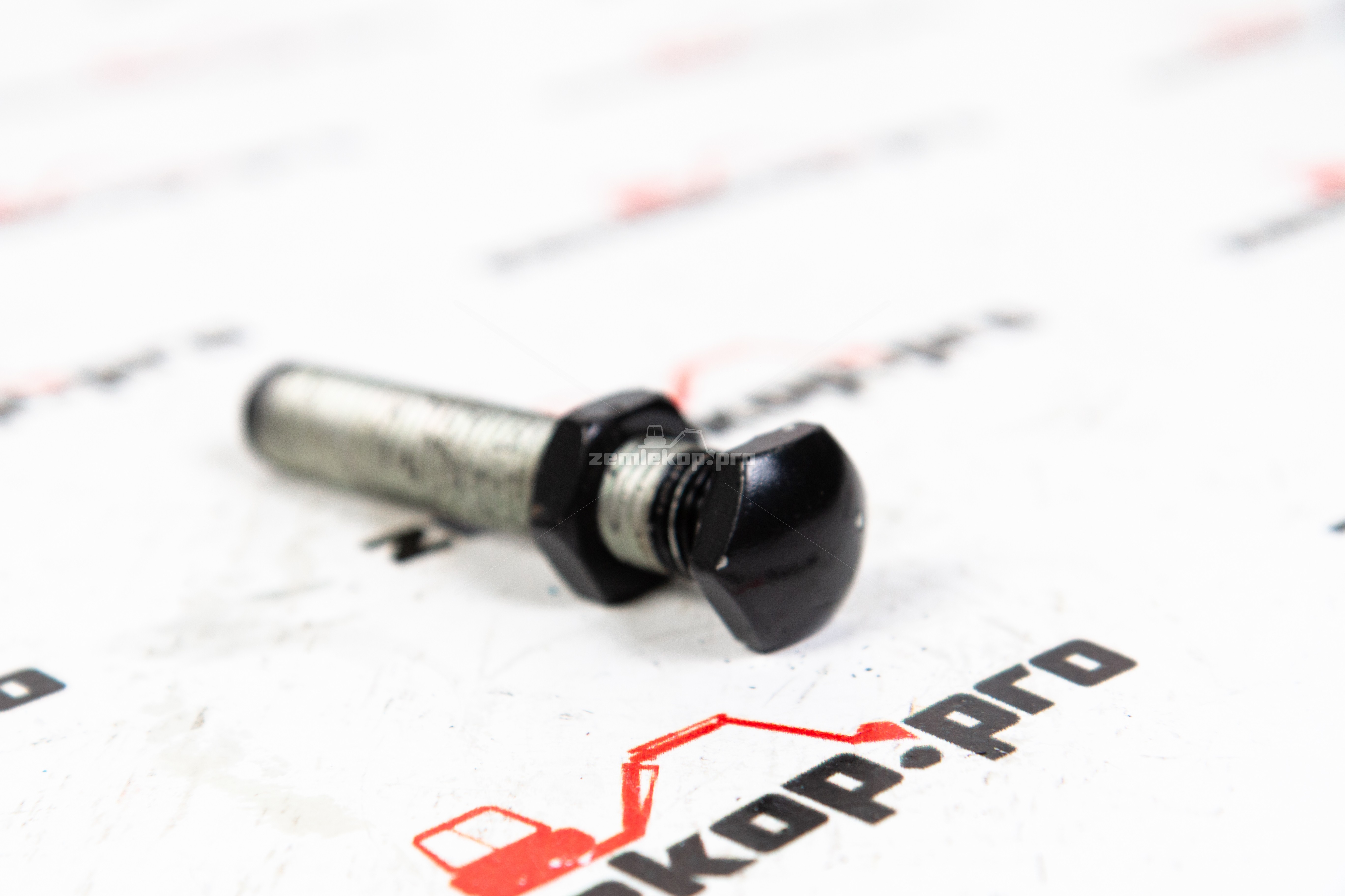 213.06.711.01-R Болт с гайкой DANA