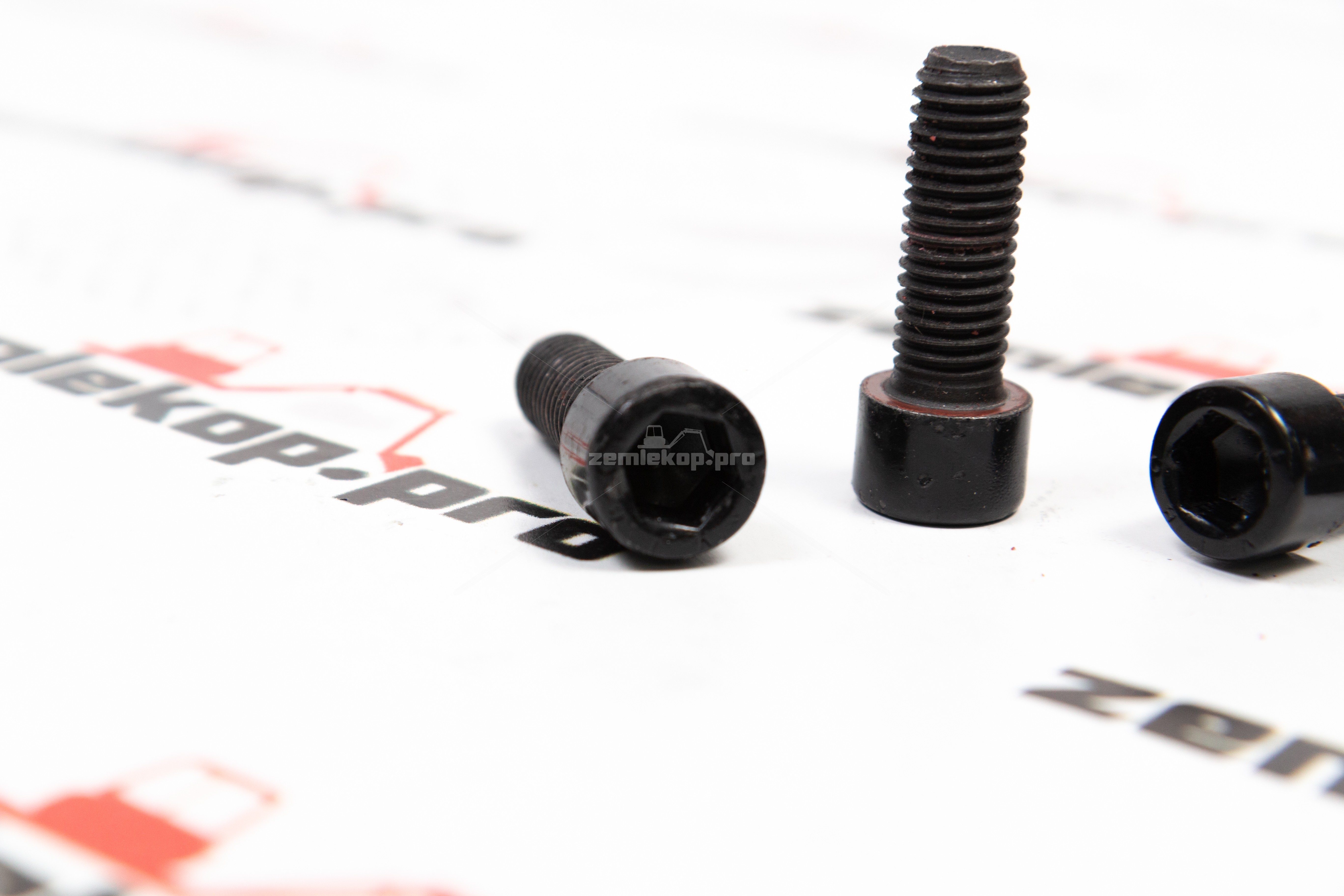 016.04.0846-R Болт DANA