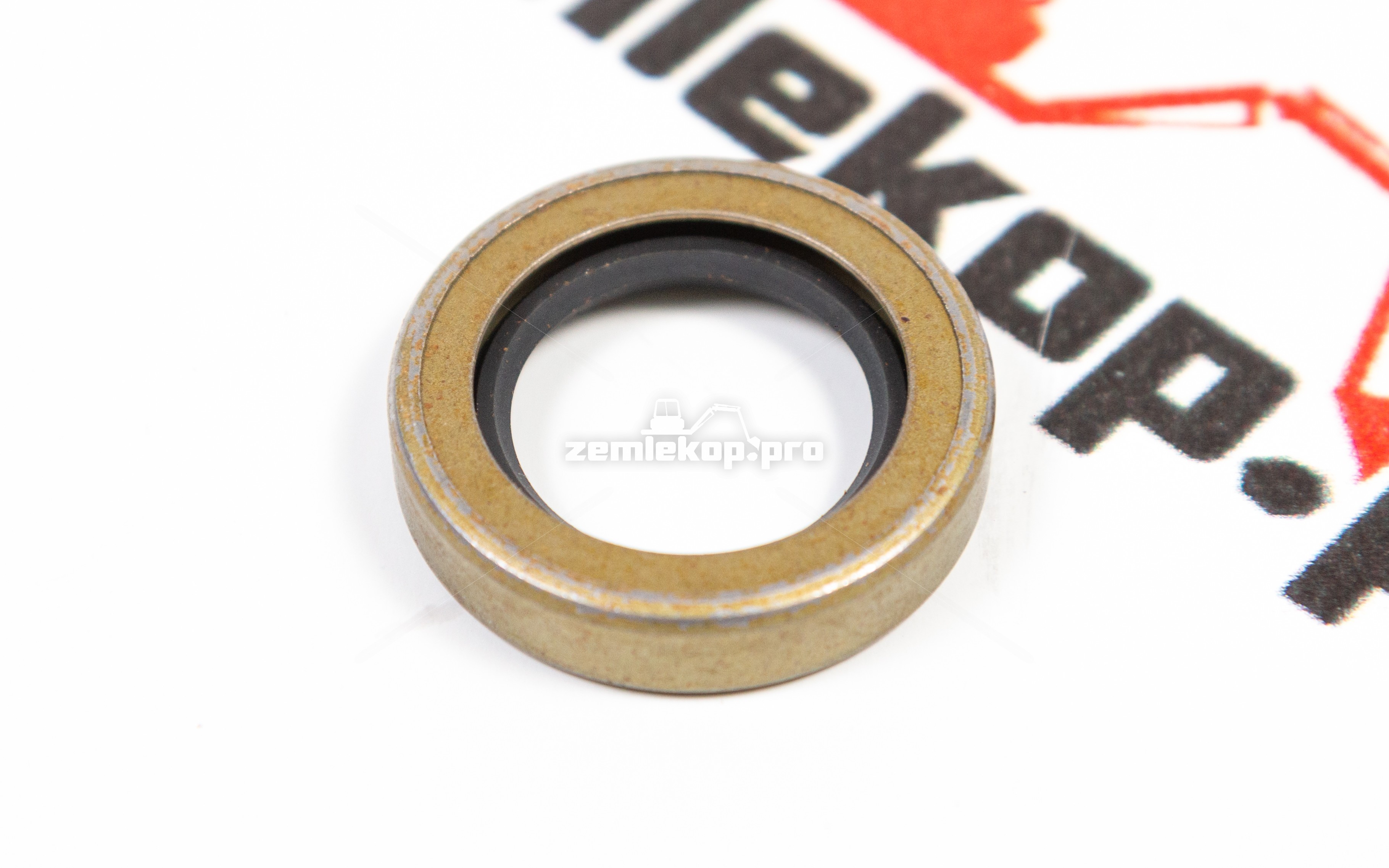 456294 Сальник DANA