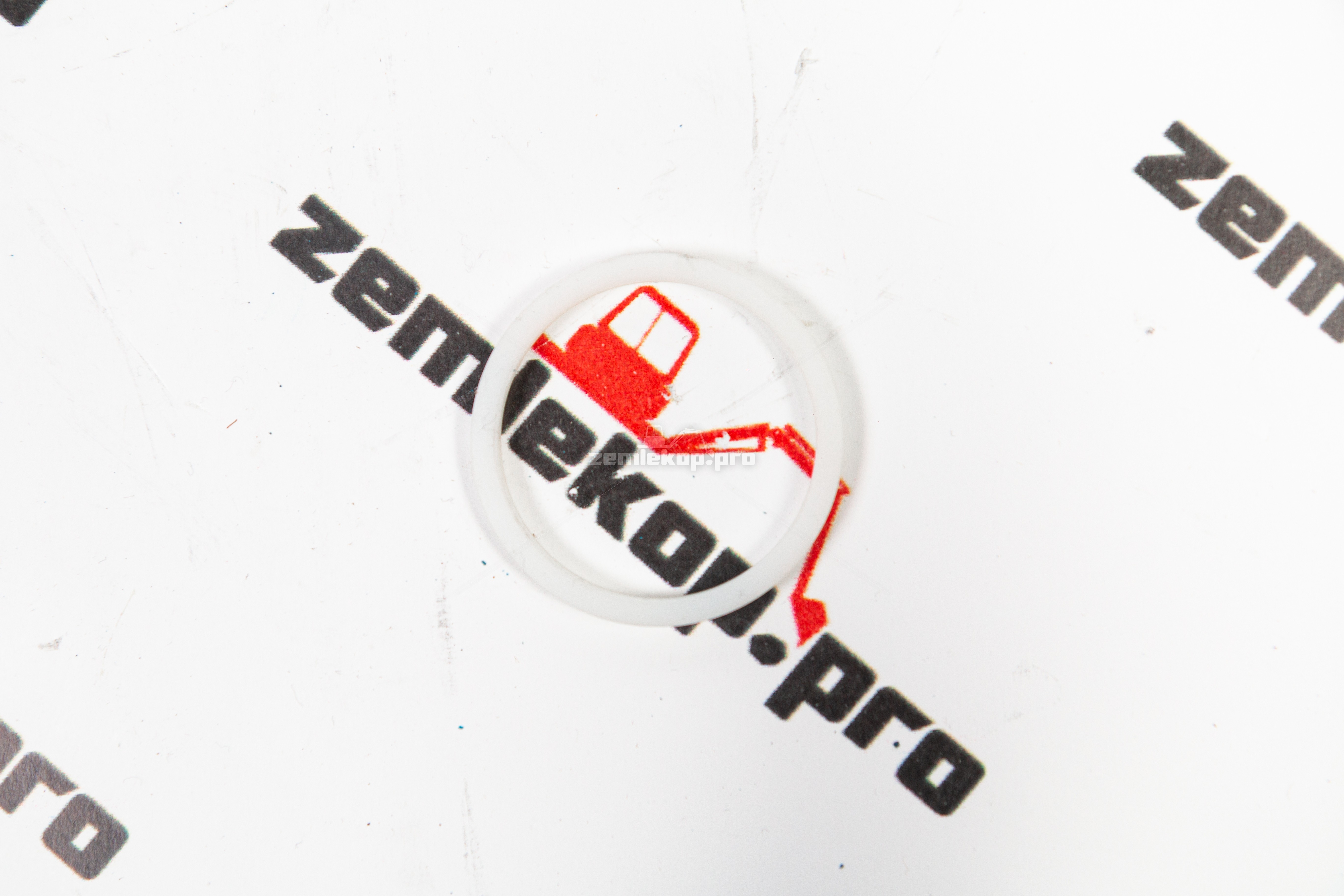 2113884 Шайба DANA