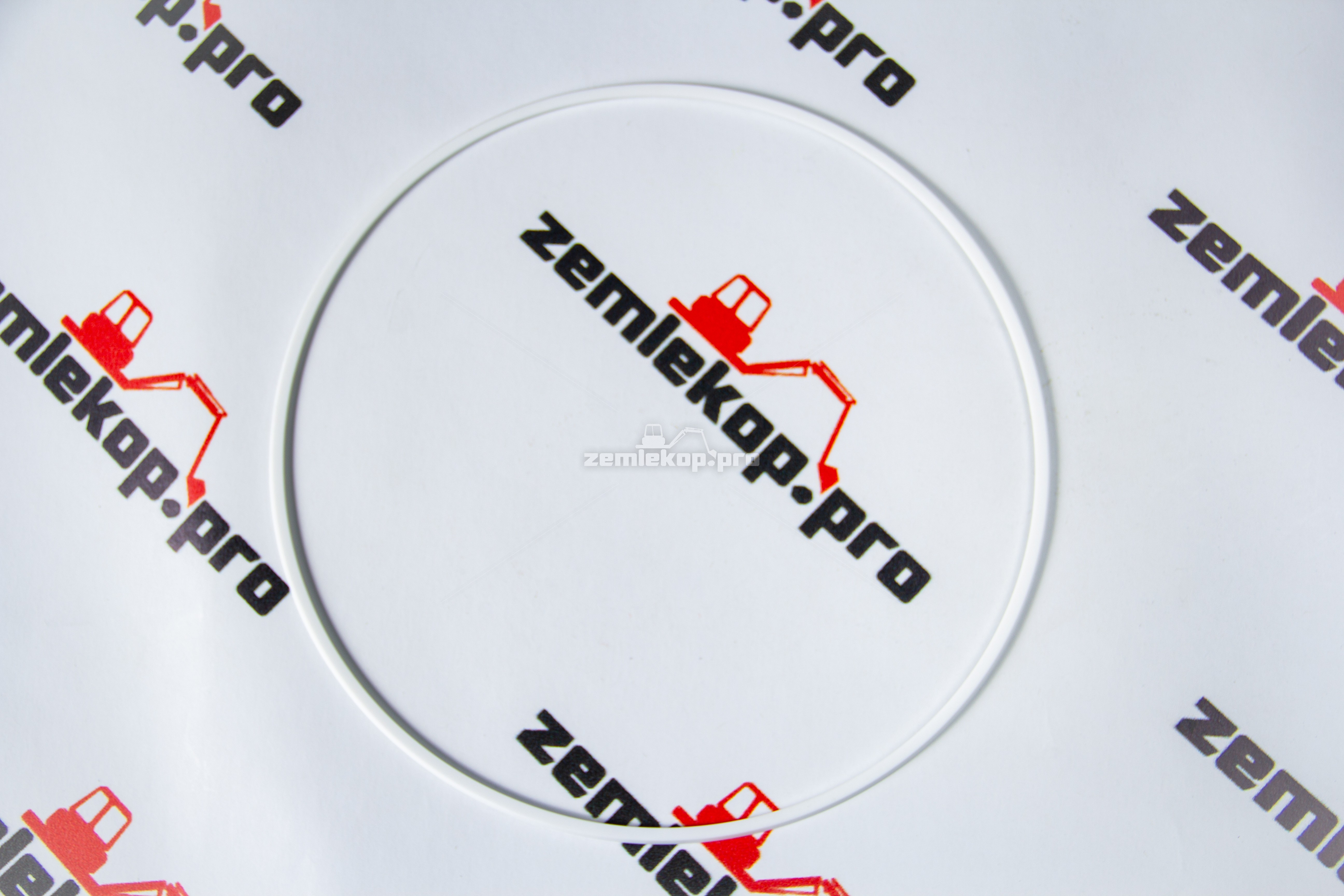 242753 Сальник DANA