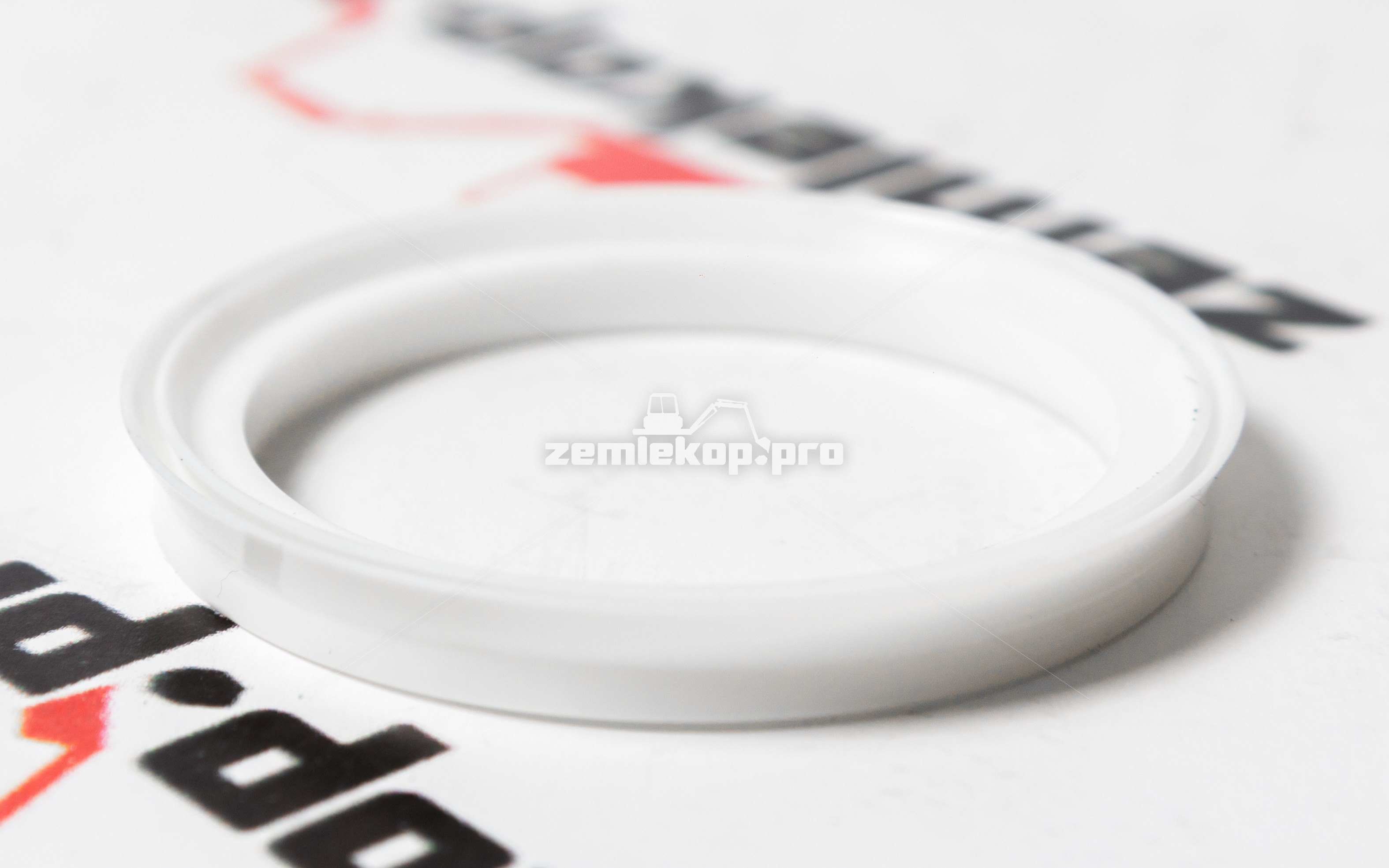 211.06.019.01 Сальник DANA