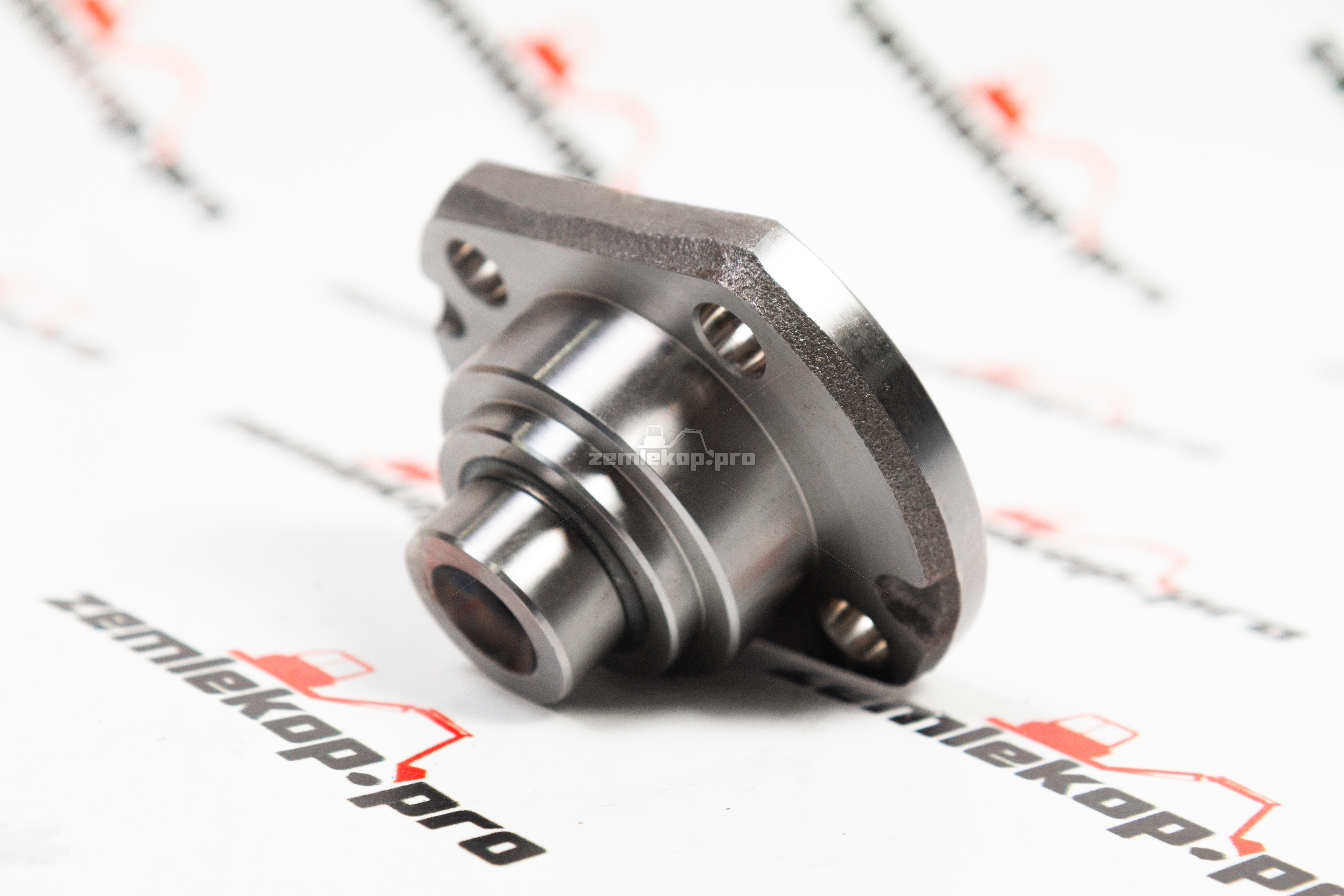 211.06.012.02 Шкворень DANA