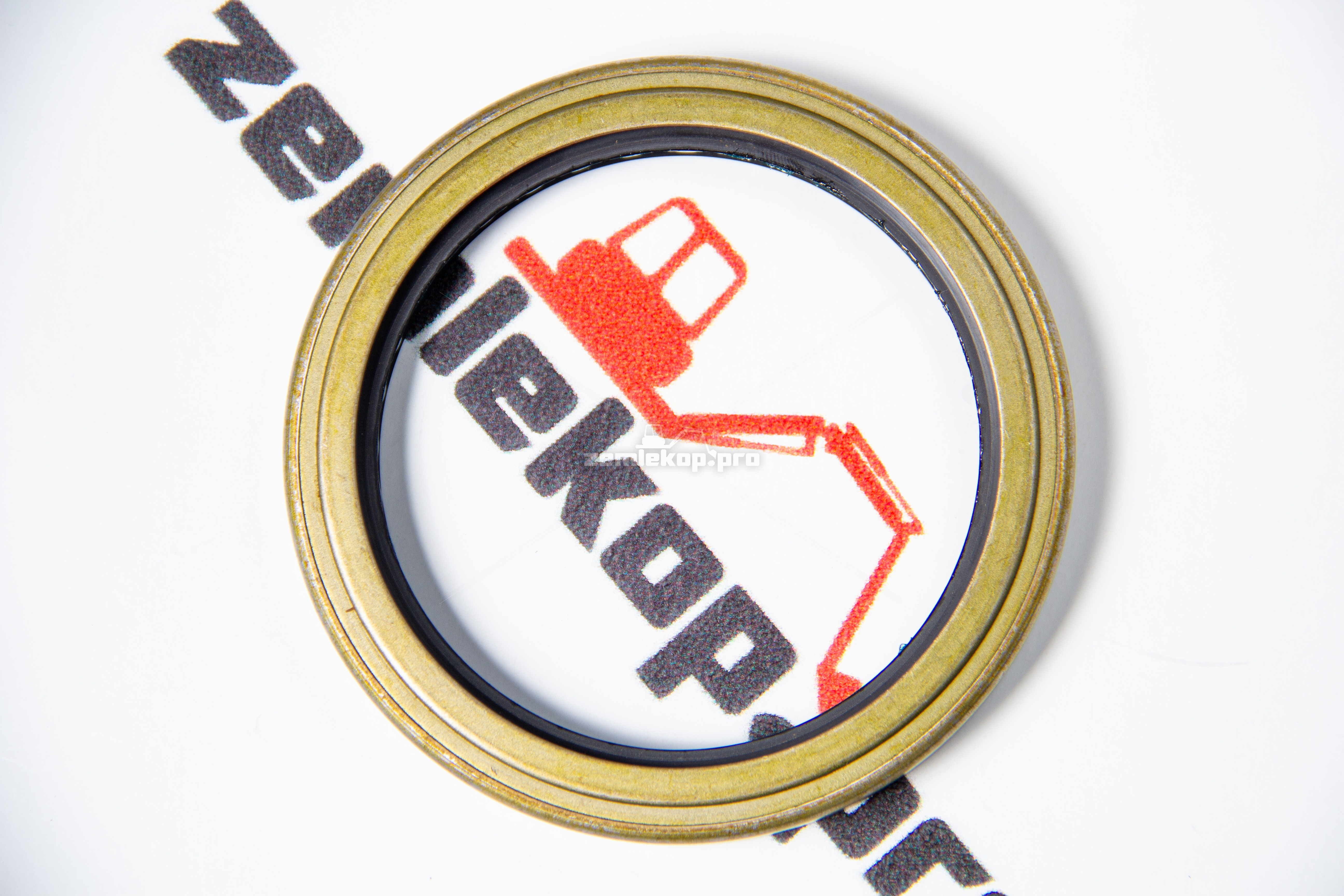 225763 Сальник DANA