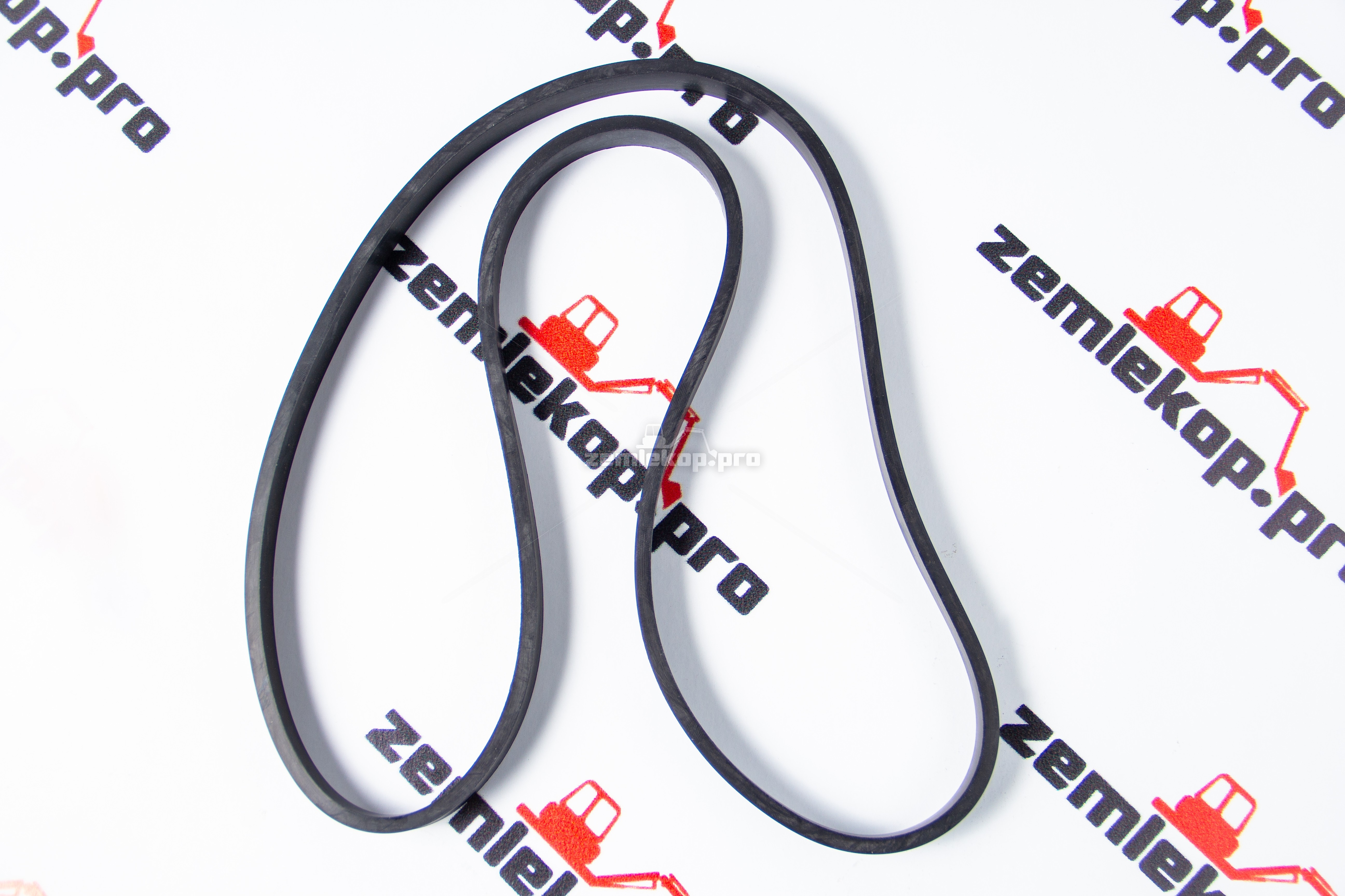 231458 Прокладка DANA