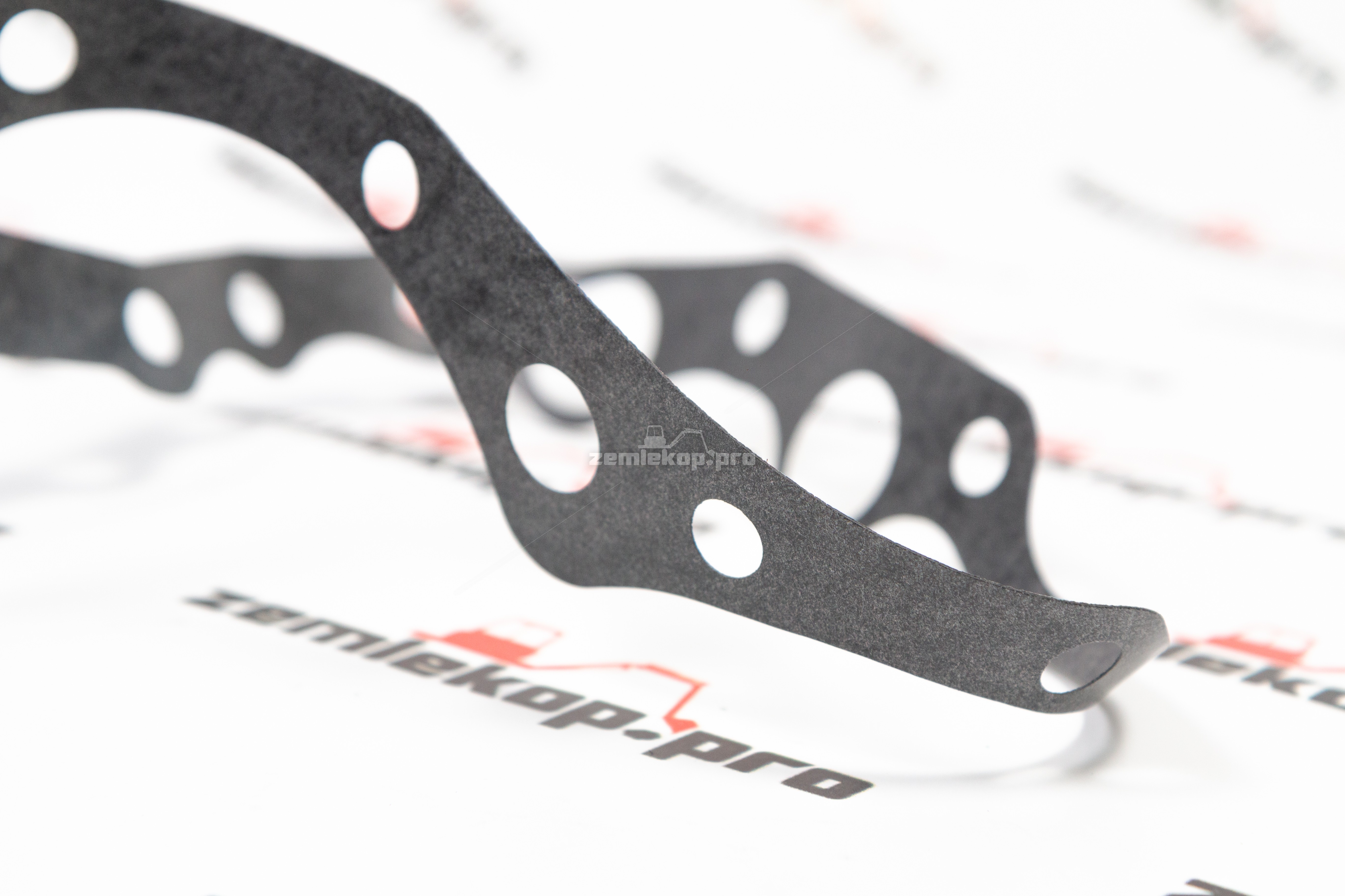 231606 Прокладка DANA (большая)