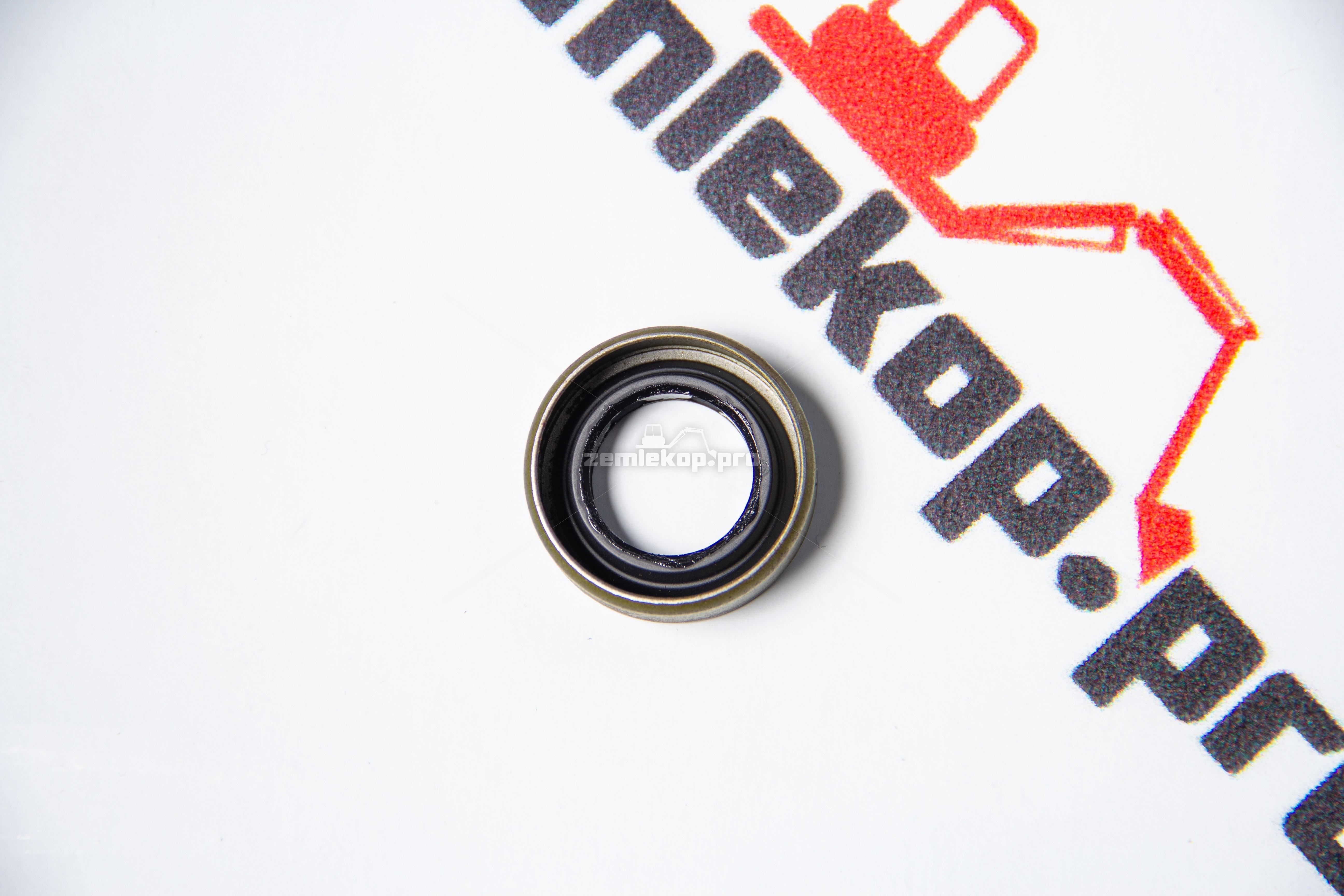 239892 Сальник DANA