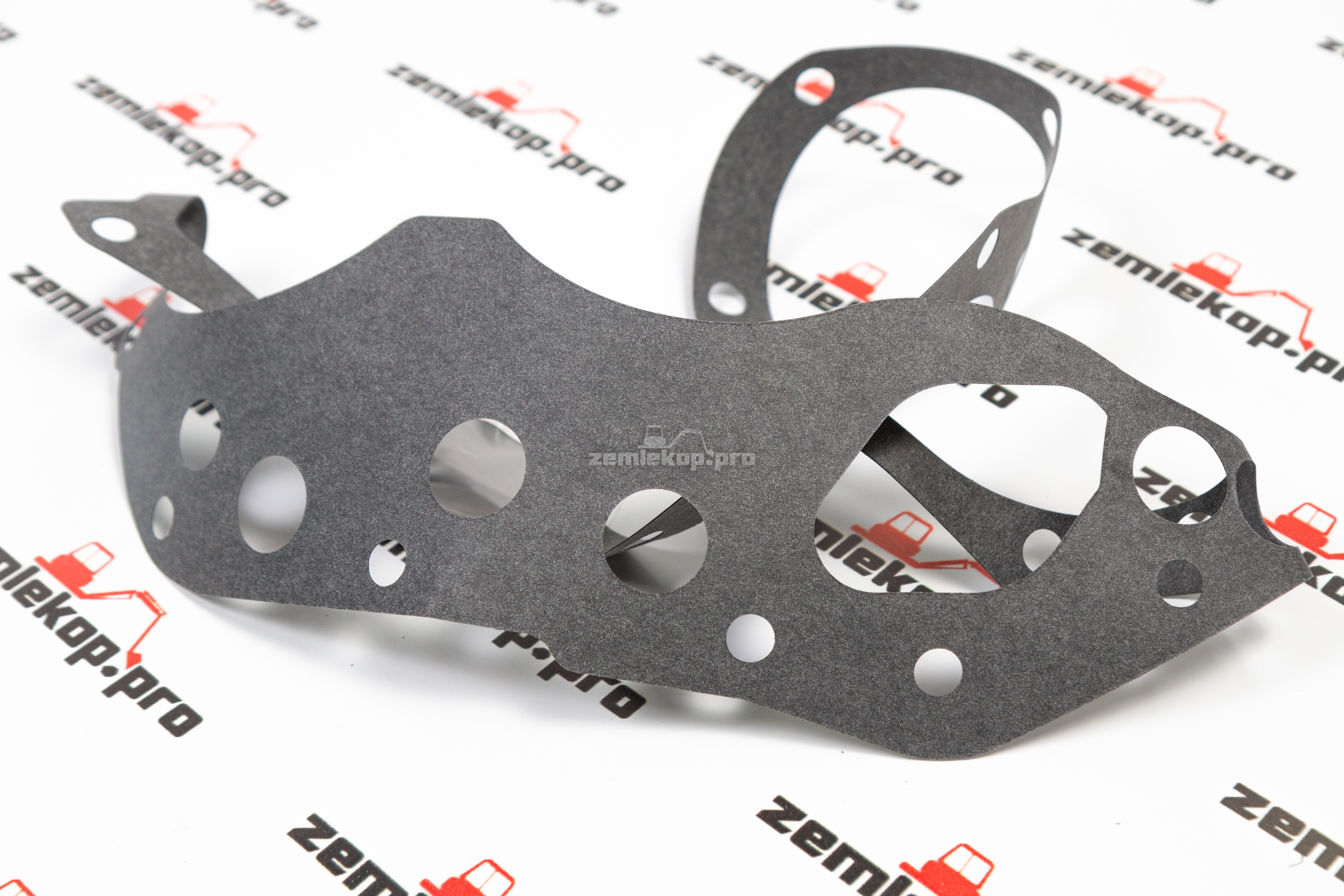 241279 Прокладка DANA (большая)