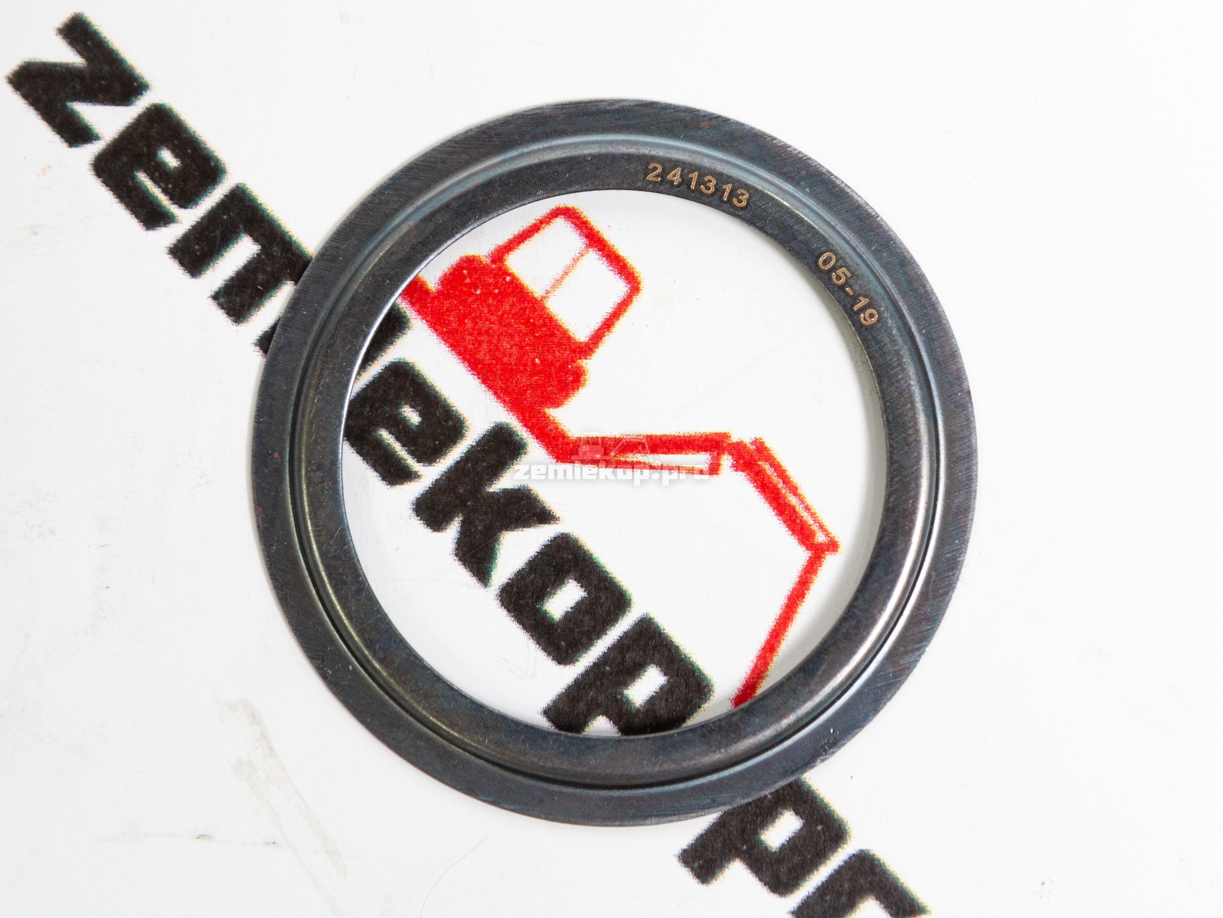 241313 Шайба DANA