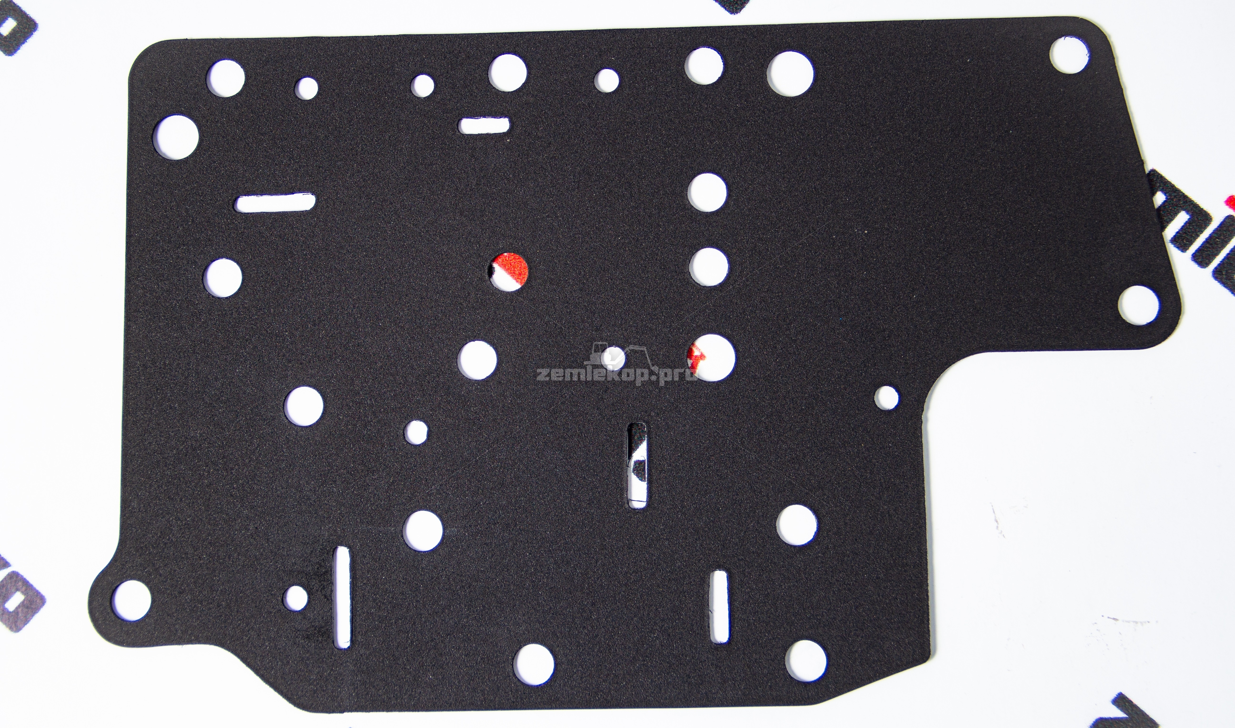 248460 Прокладка DANA