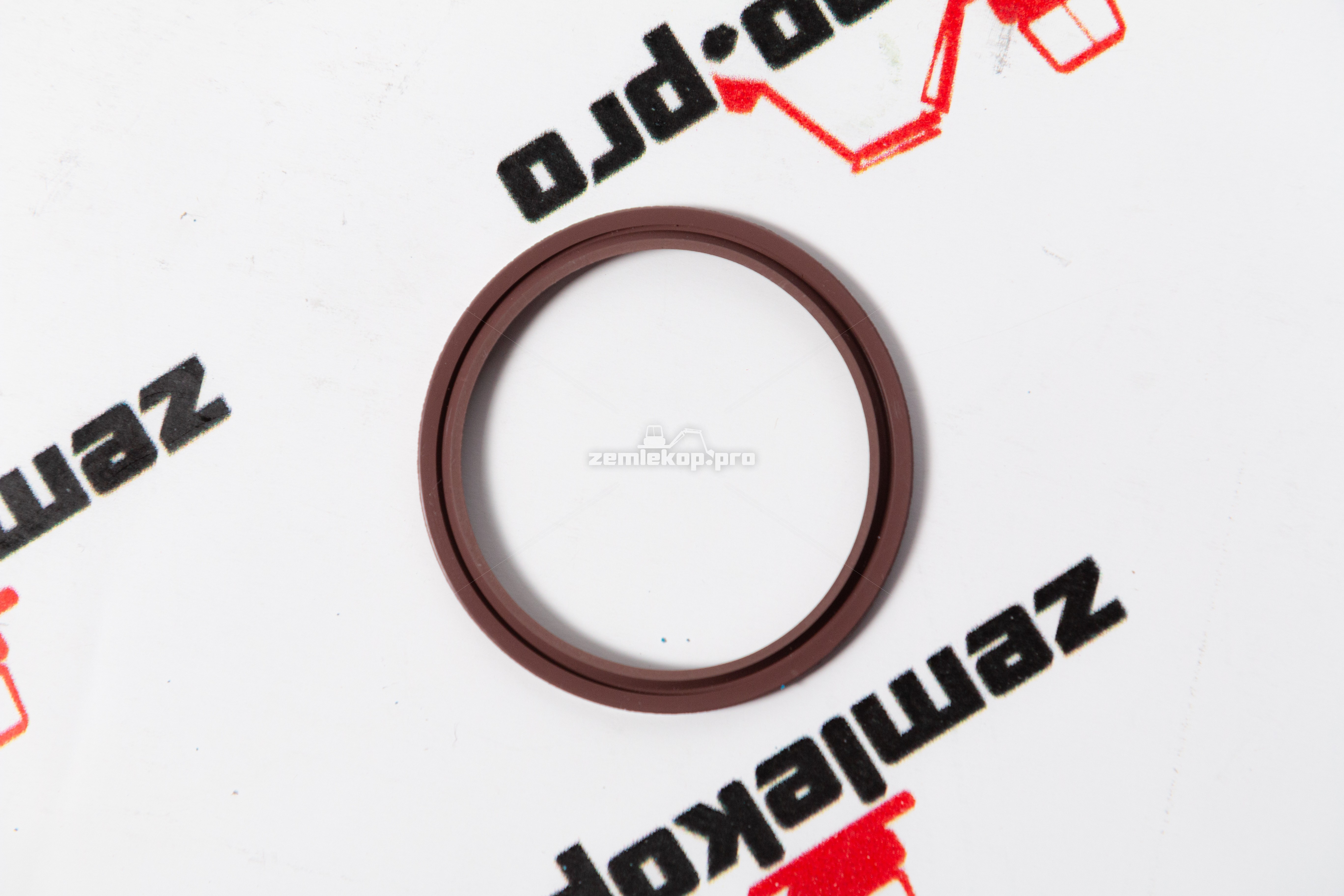 248768 Сальник DANA