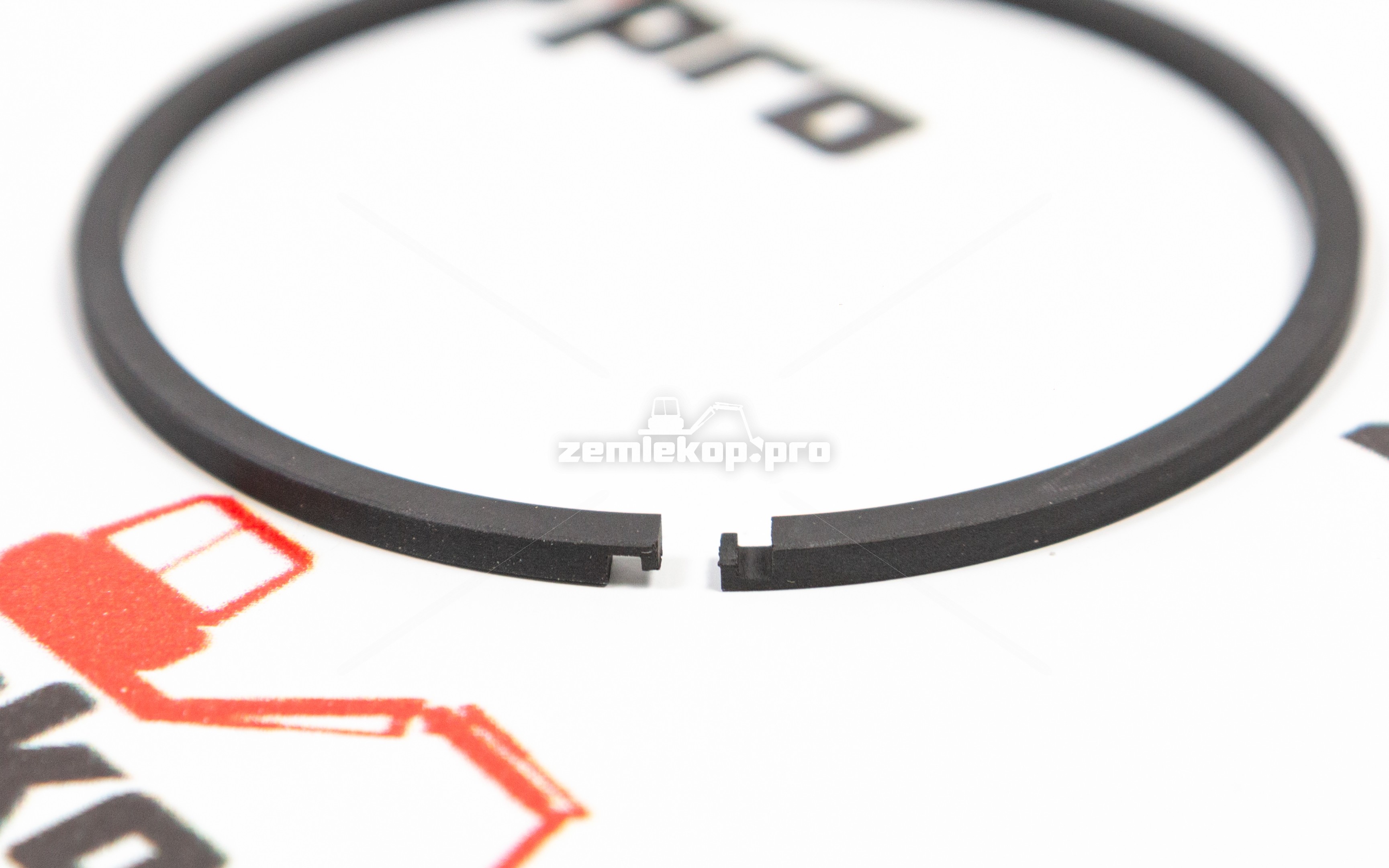 250090 Кольцо DANA