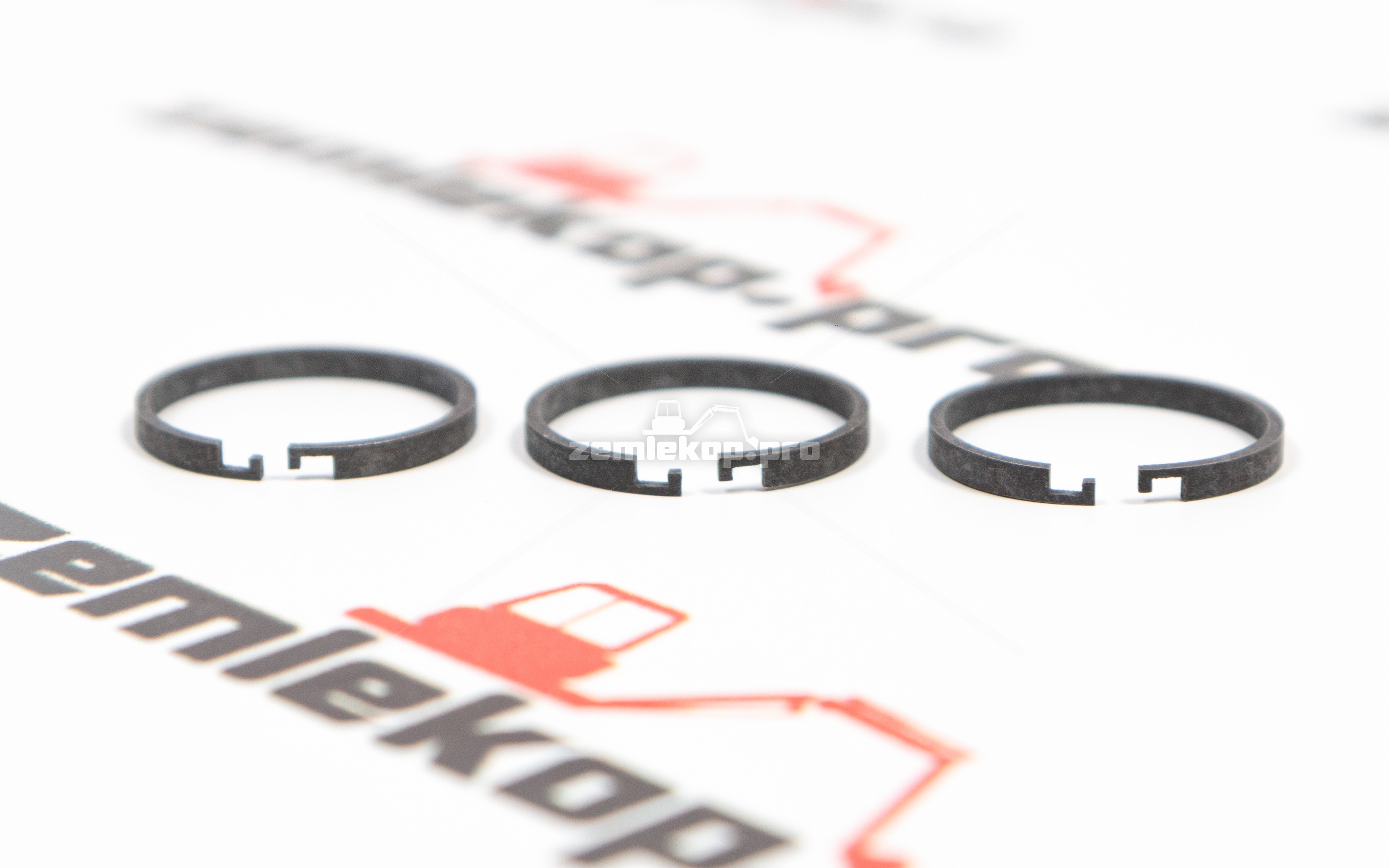 250215 Кольцо DANA